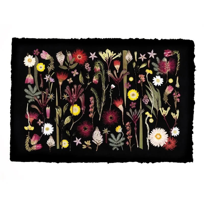 Australian Wildflowers