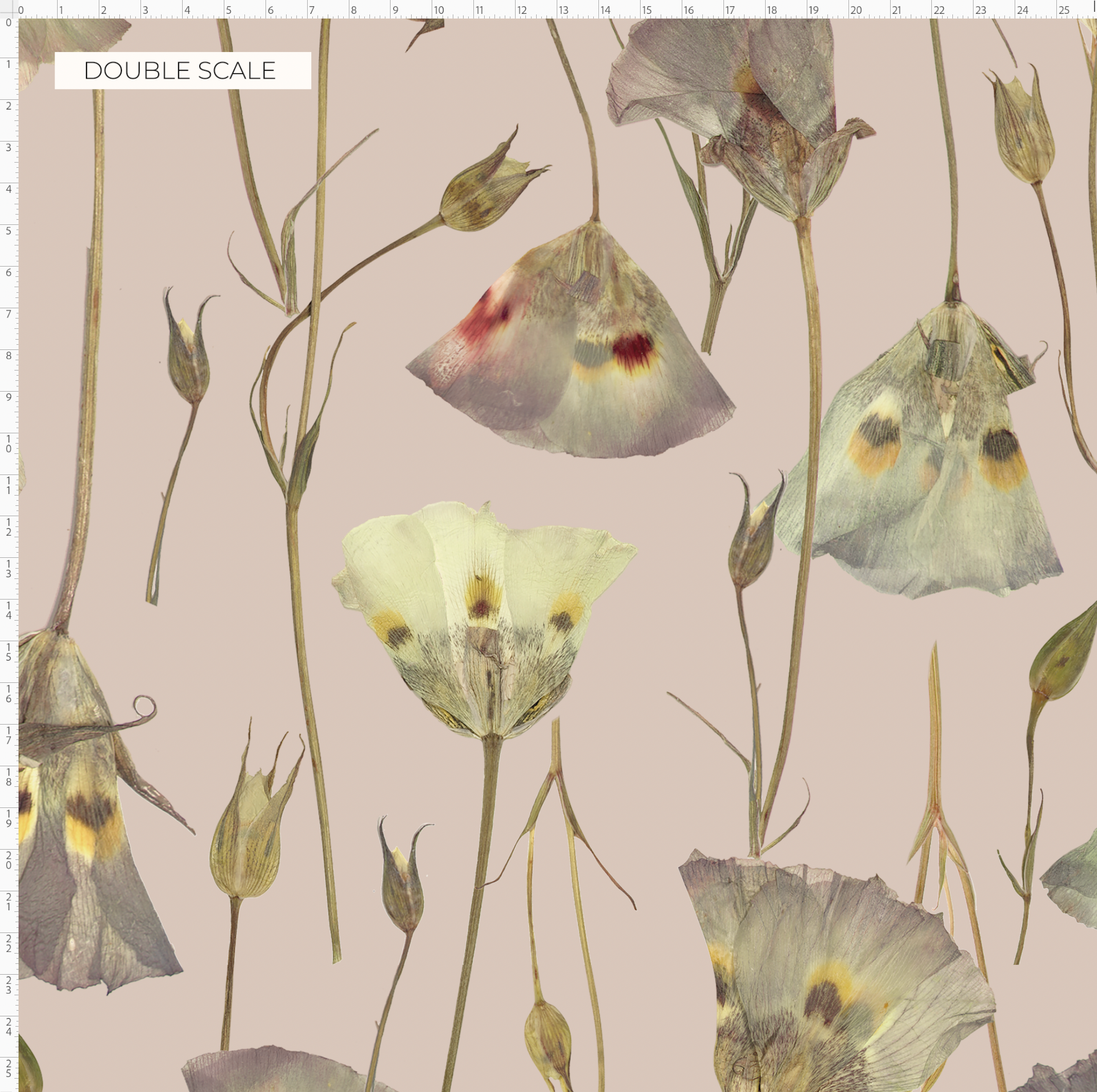 Butterfly Mariposa Lily Mallow Wallpaper