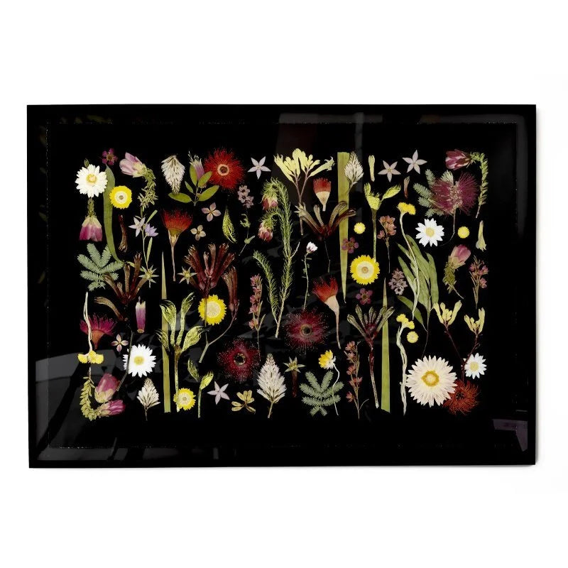 Australian Wildflowers