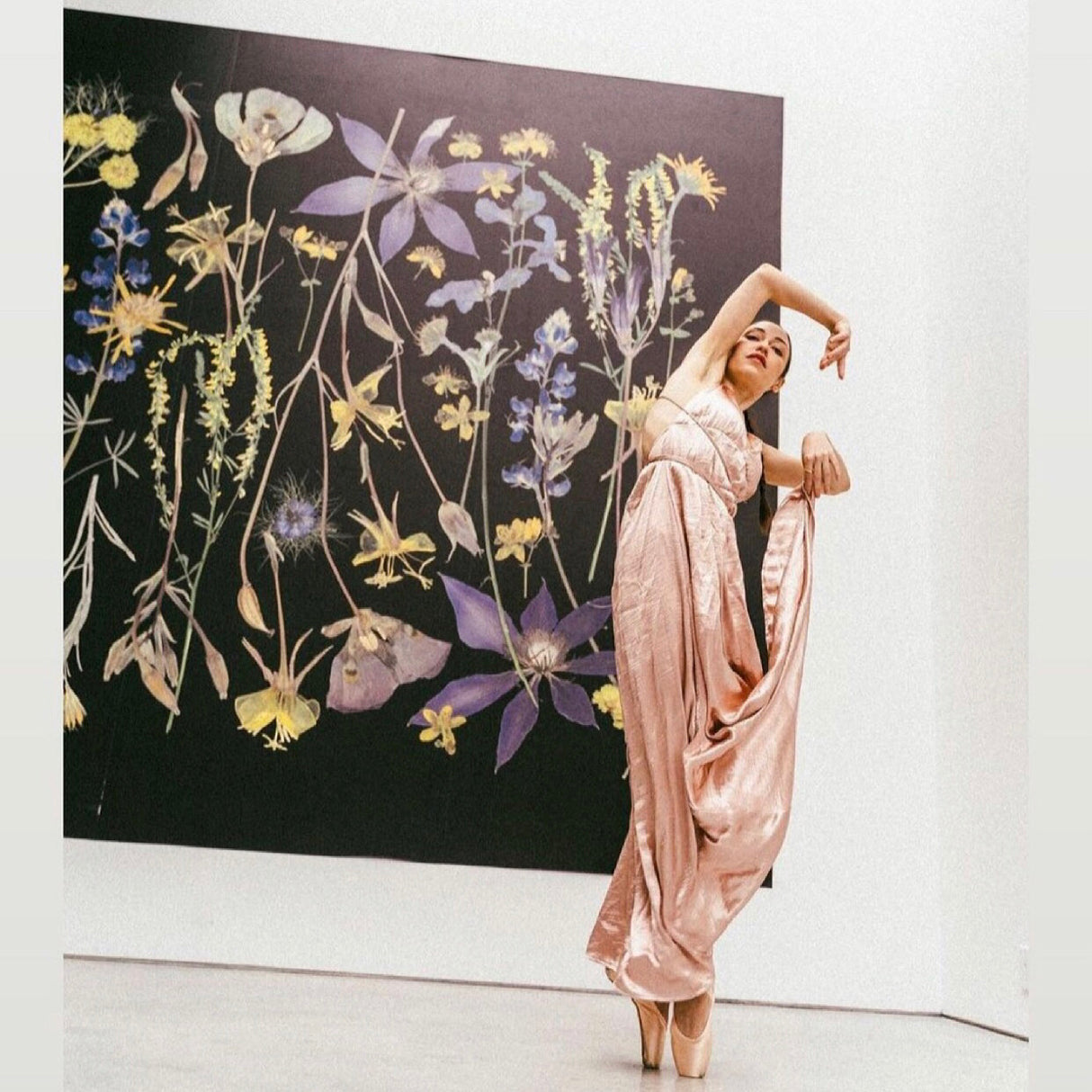 Night Meadow Wall Mural