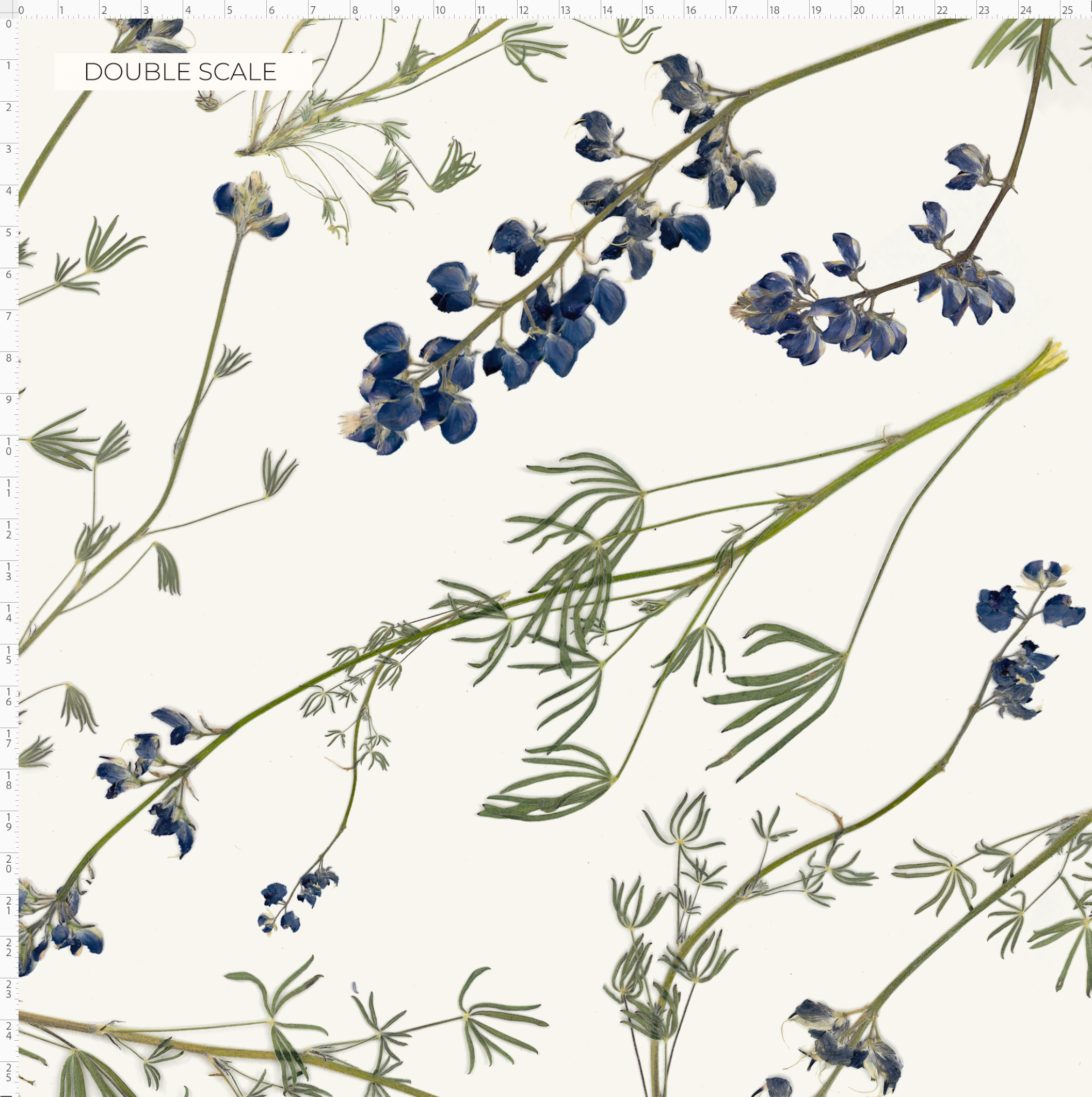 Wild Lupine Pure