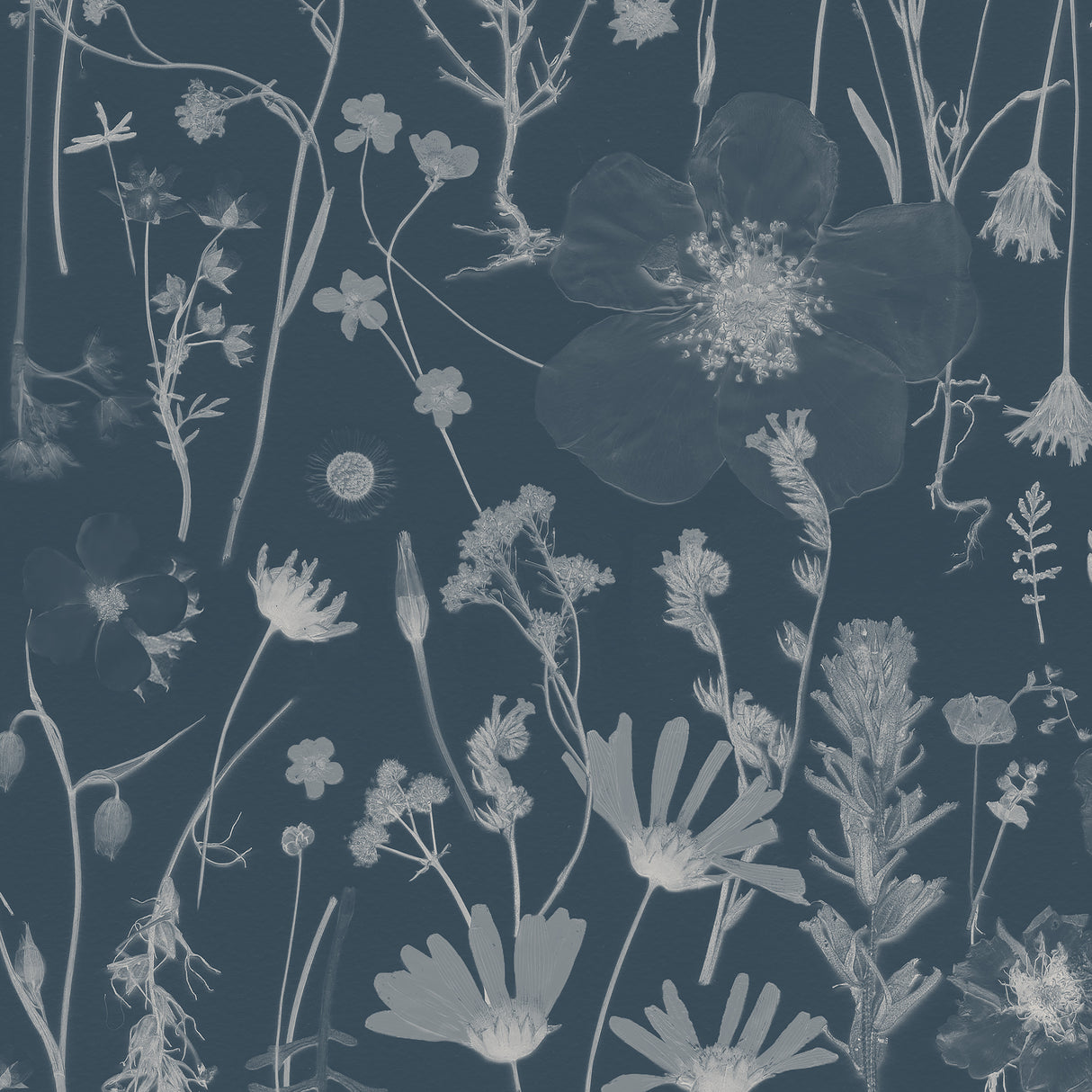 Among the Wildflowers