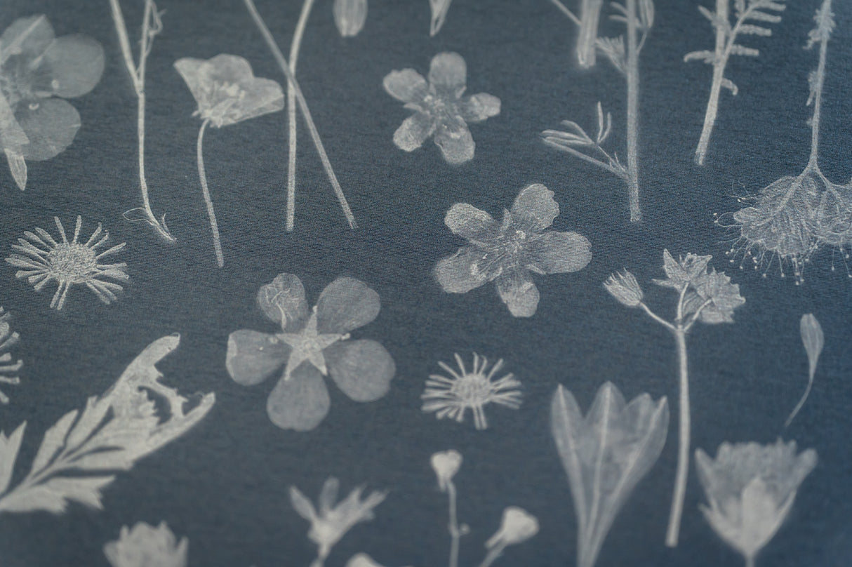 Among the Wildflowers