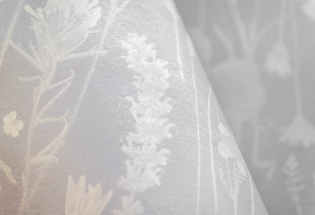 Among the Wildflowers