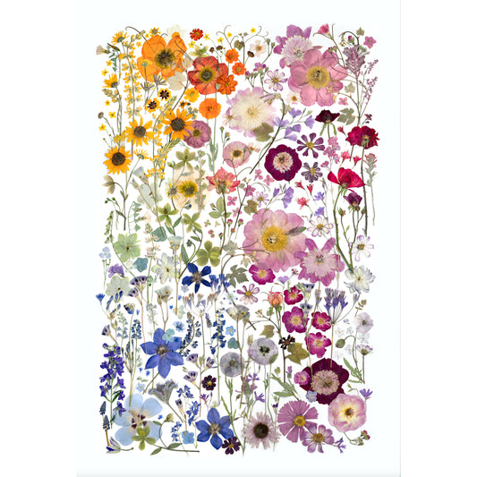Spring Fever
