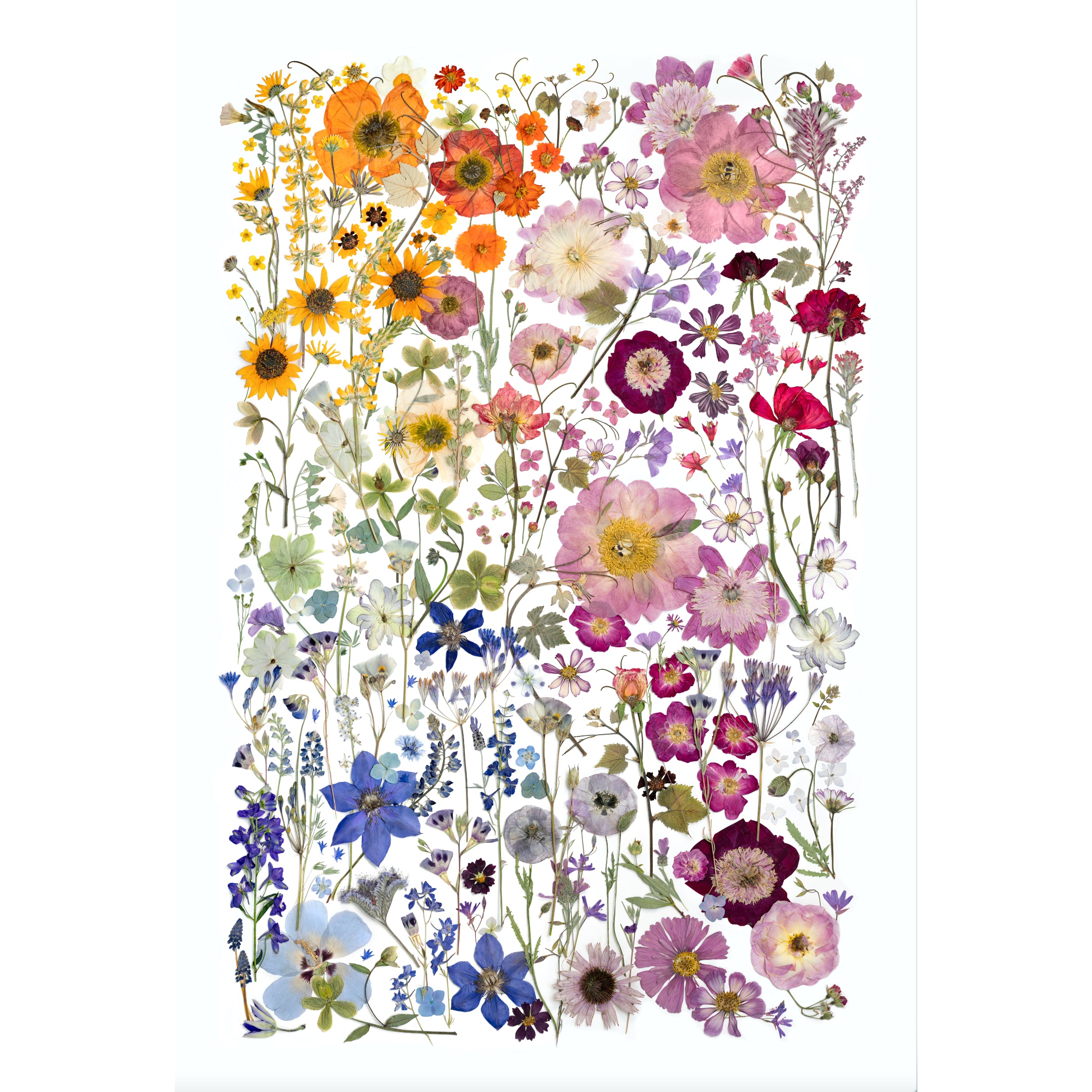Spring Fever