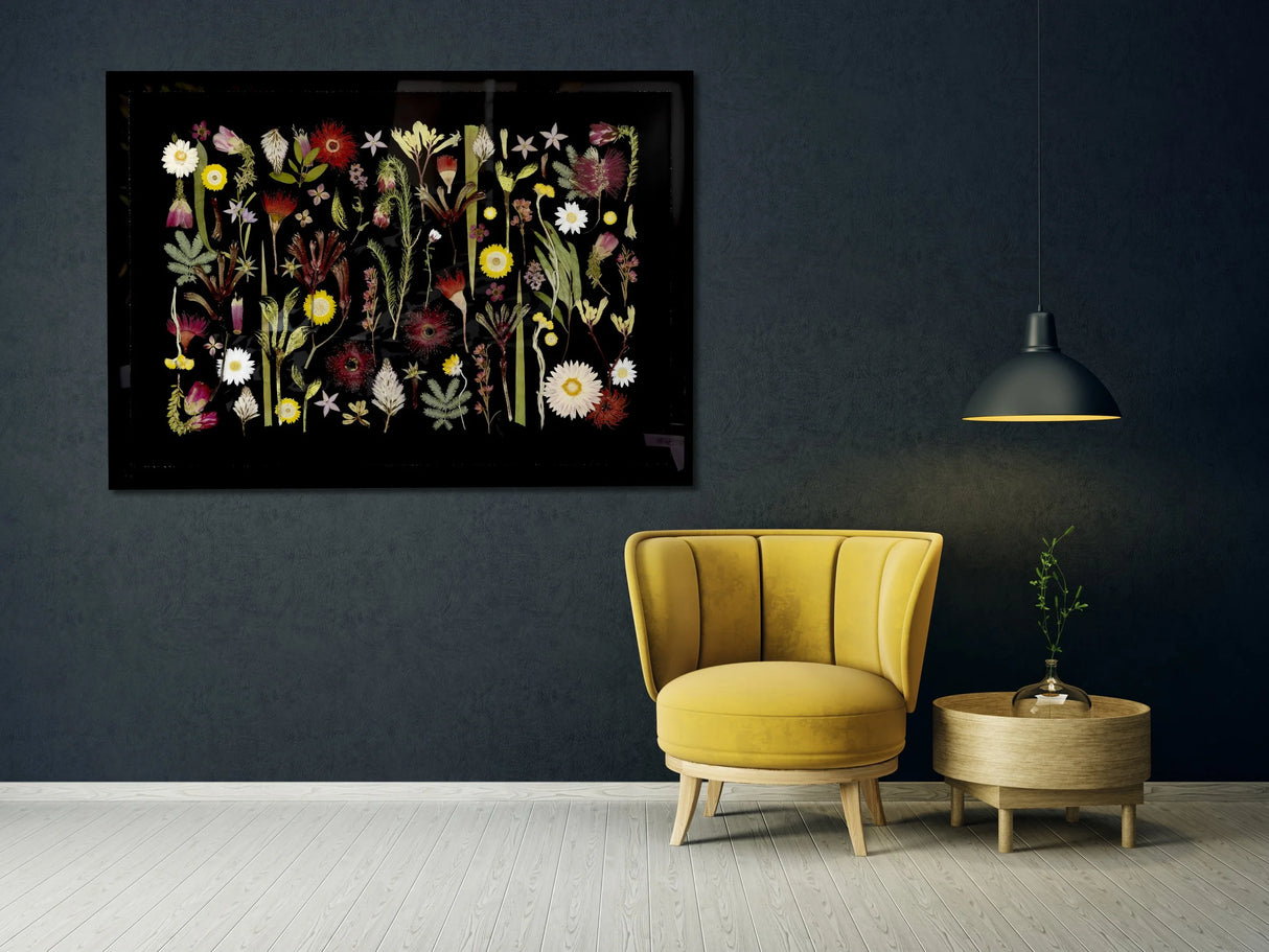 Australian Wildflowers