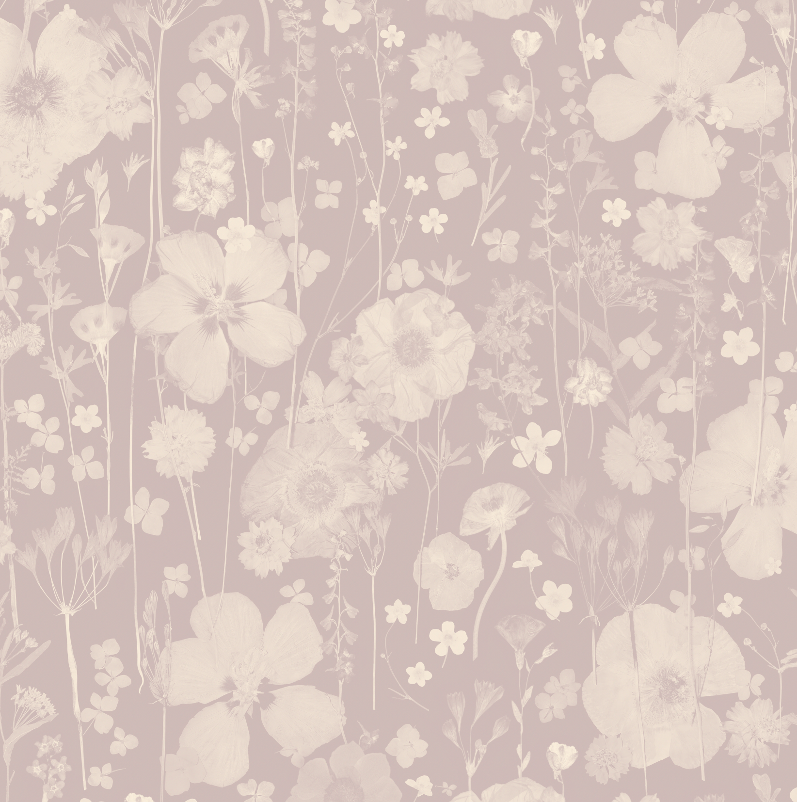 Beautiful Stranger Posy Wallpaper