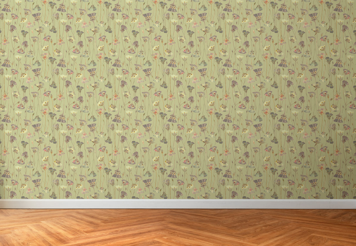 Butterfly Mariposa Lily