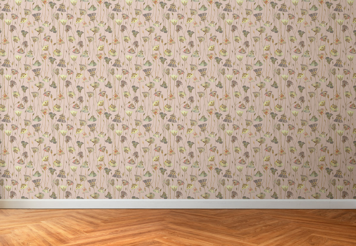 Butterfly Mariposa Lily