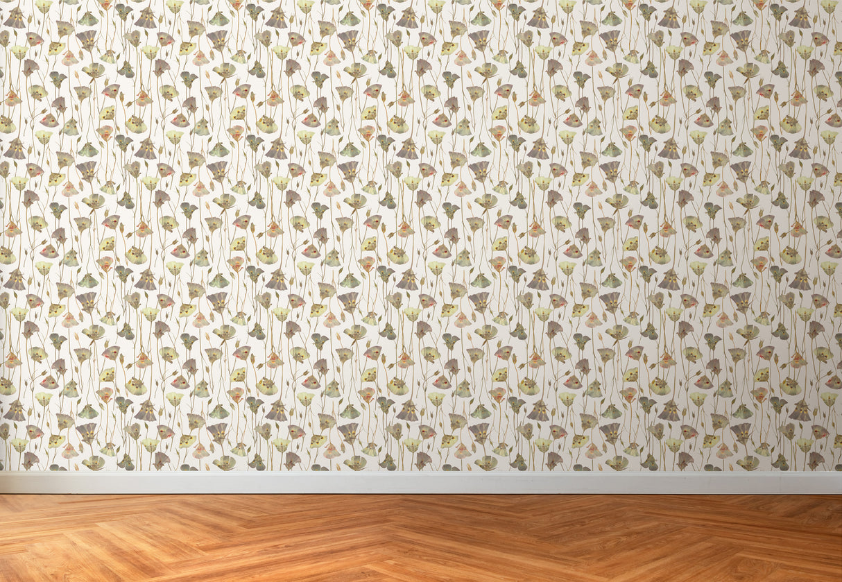 Butterfly Mariposa Lily