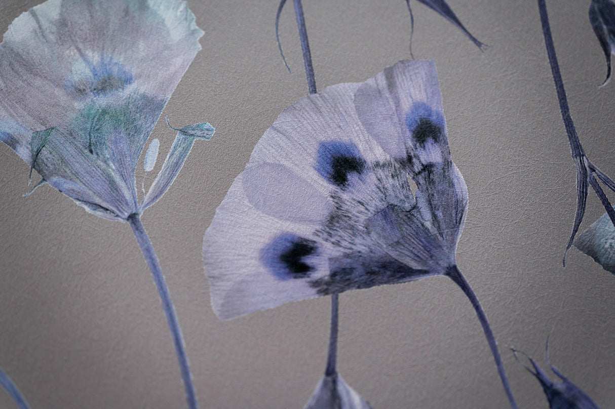 Butterfly Mariposa Lily