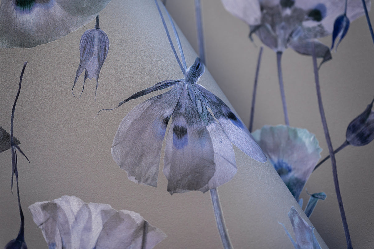 Butterfly Mariposa Lily