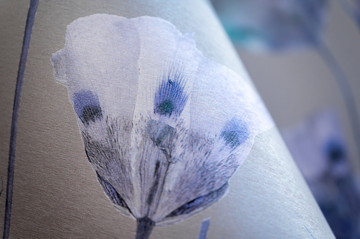 Butterfly Mariposa Lily