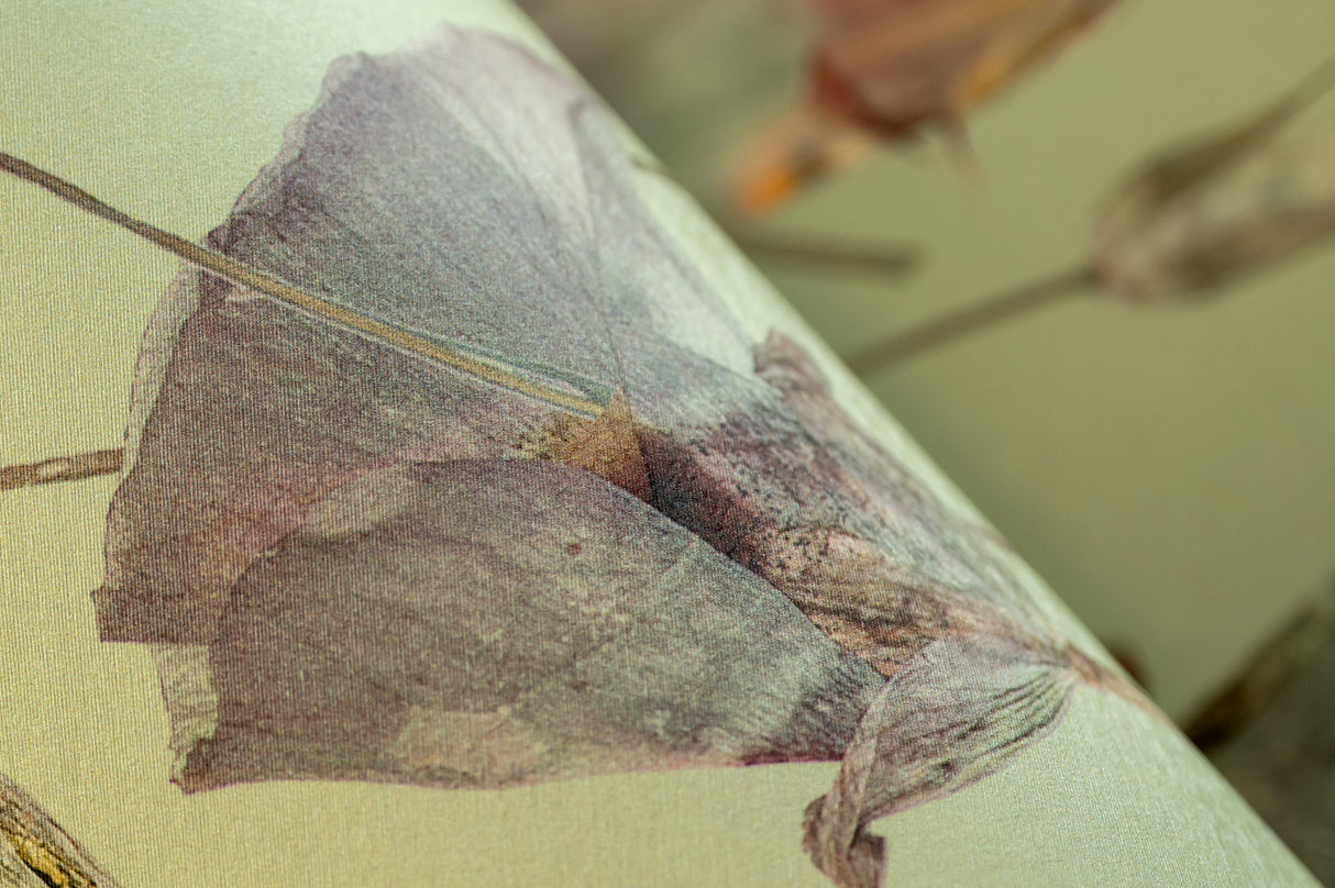 Butterfly Mariposa Lily