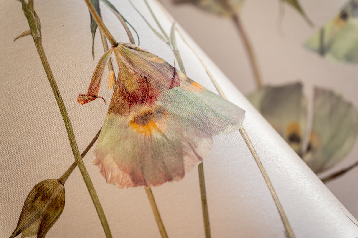 Butterfly Mariposa Lily