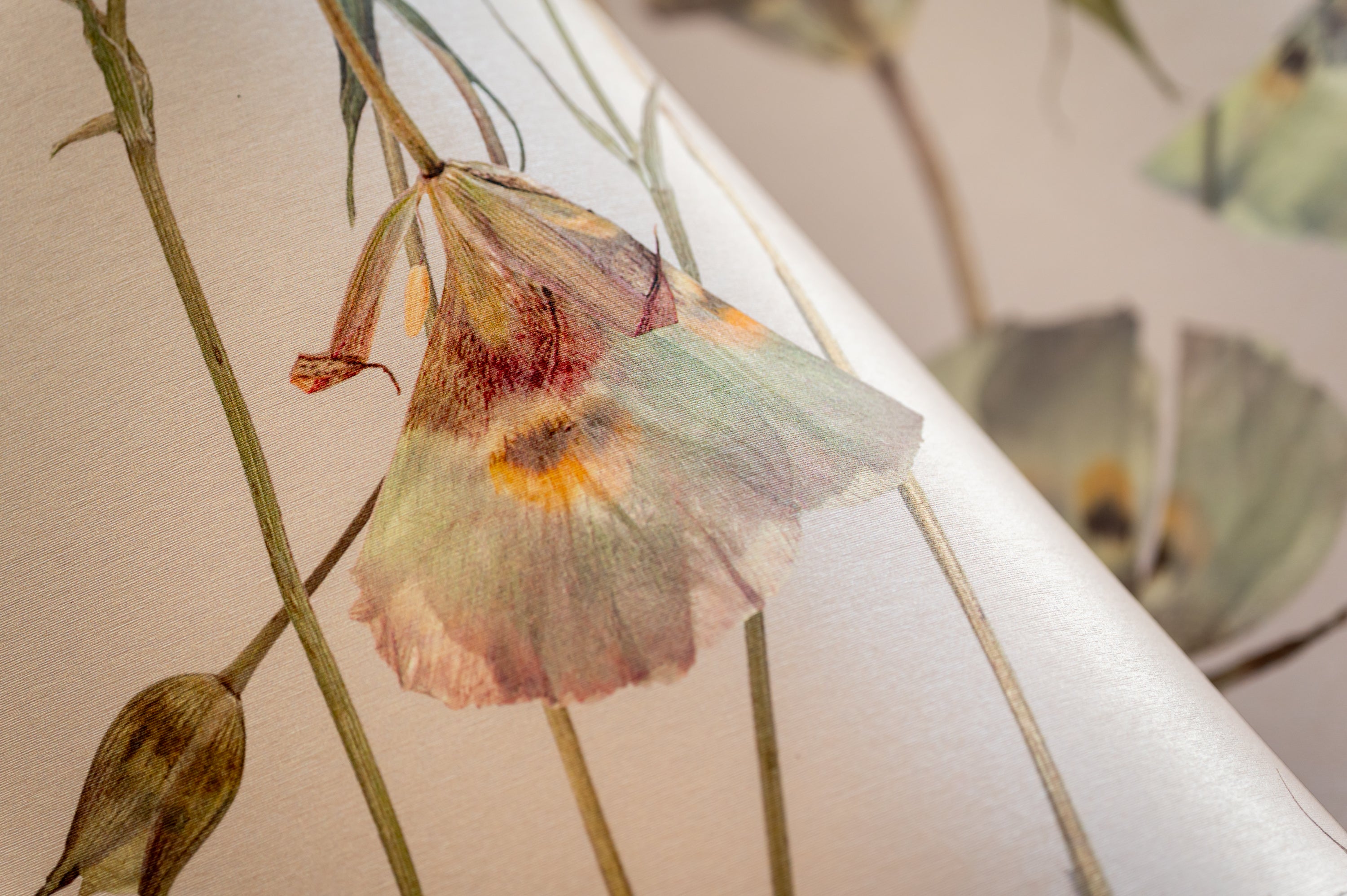 Butterfly Mariposa Lily Mallow Wallpaper
