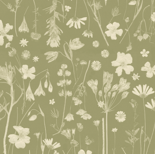 Pattern of white flowers and plants on a green background