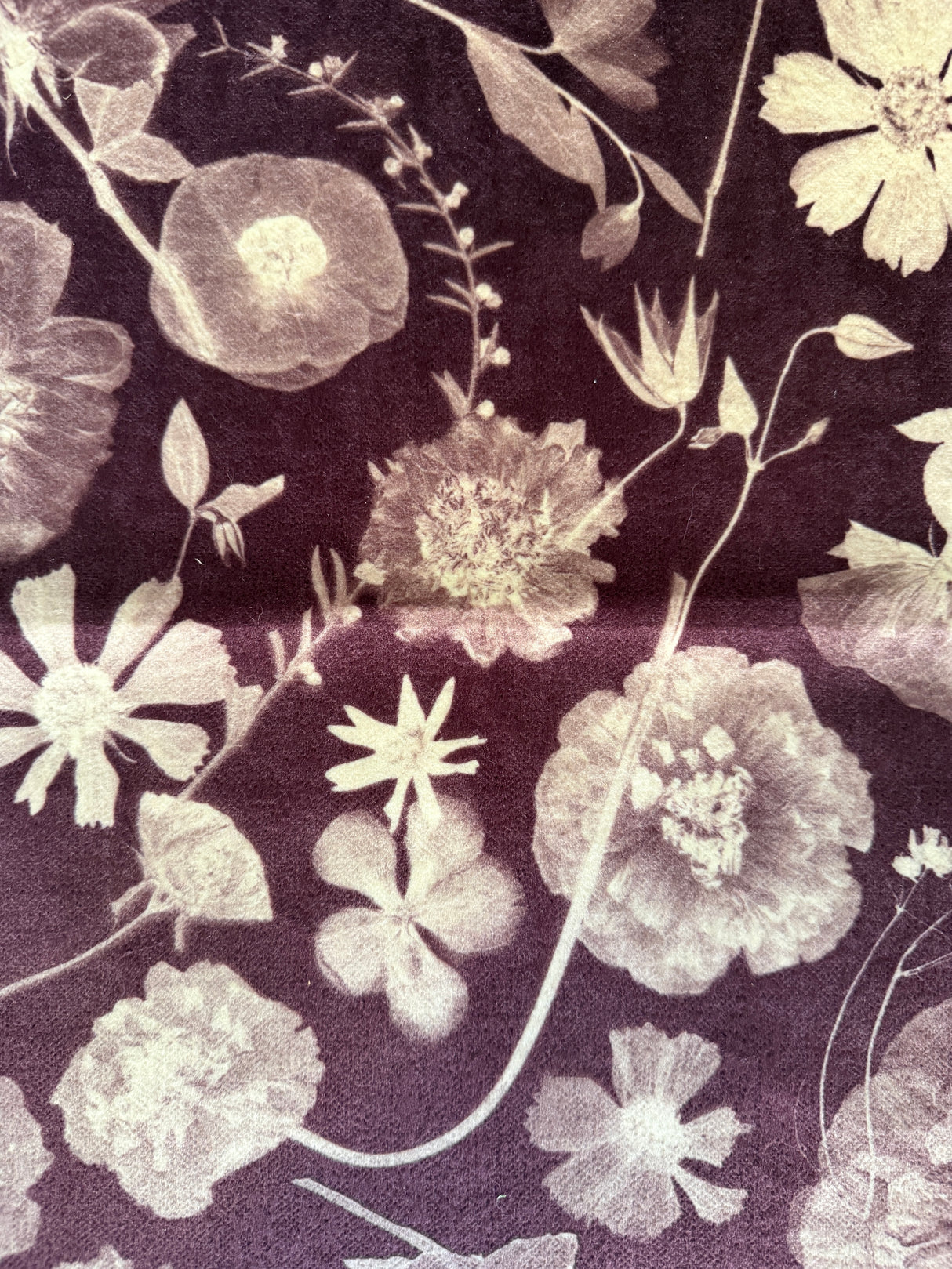 Floral pattern with white flowers on a dark purple background