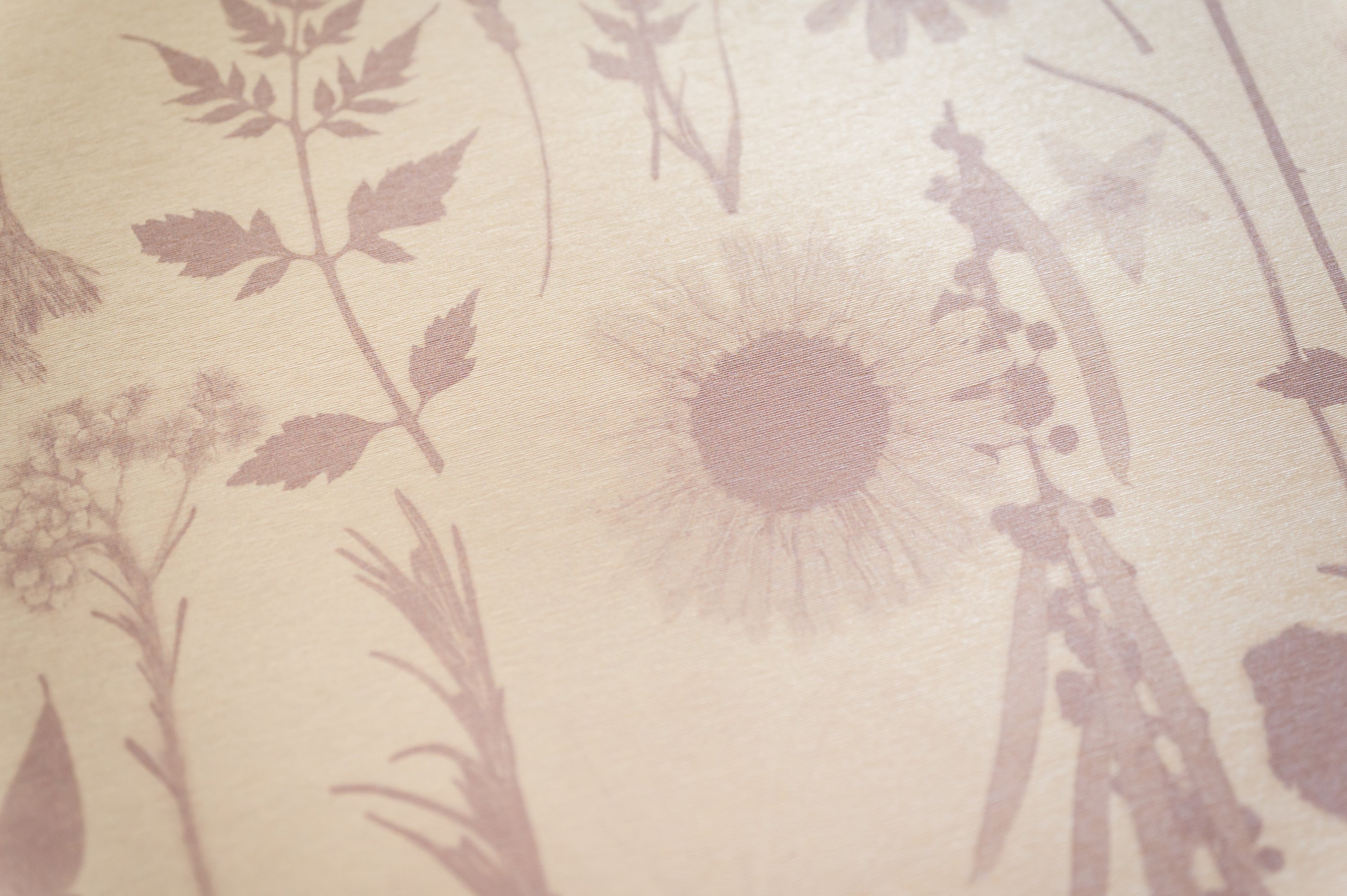 Golden Hour Mauve Wallpaper
