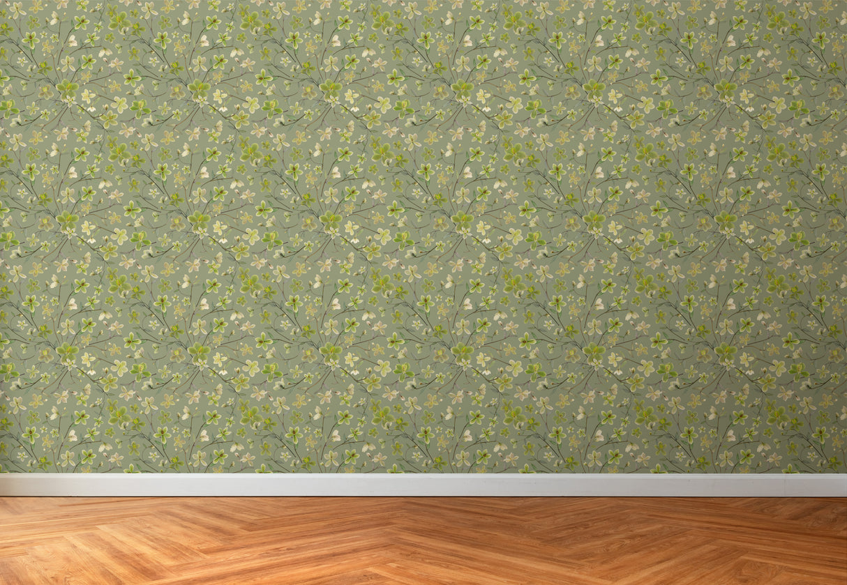 Hellebore NEW