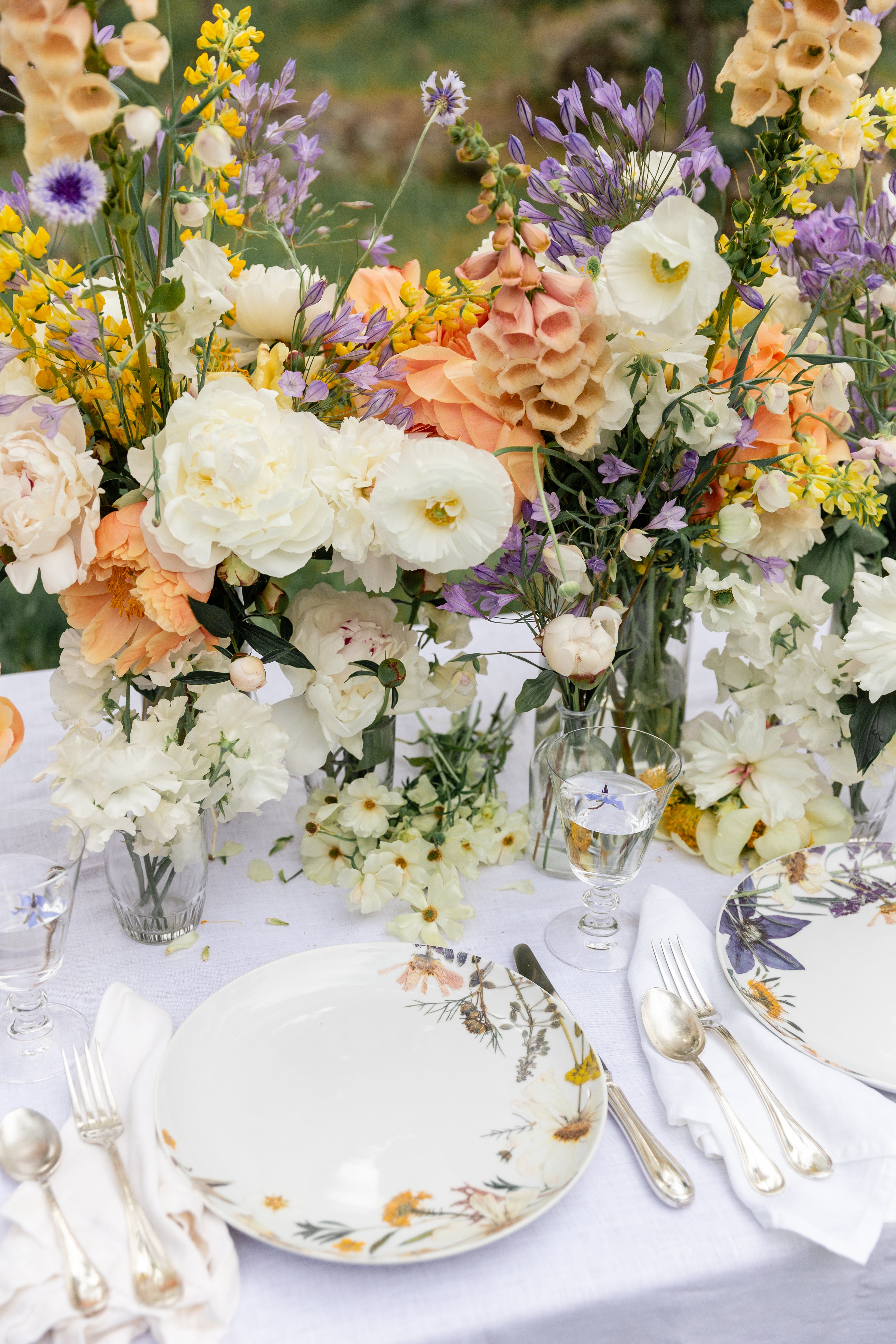 California Garden Dinner Plates