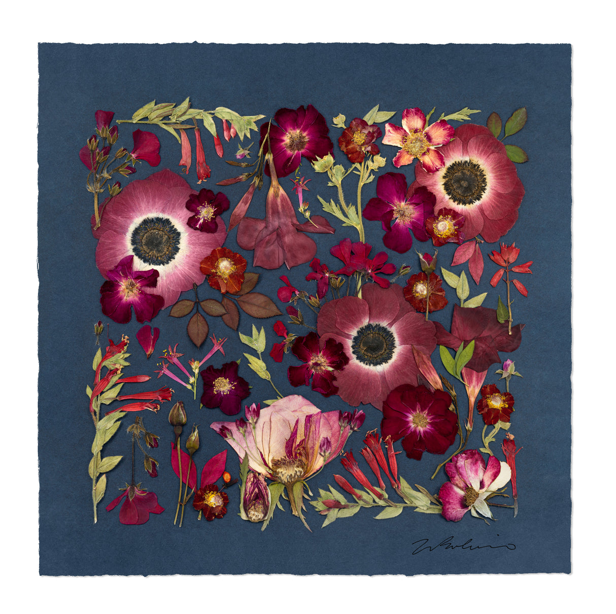 Jewels of the Garden