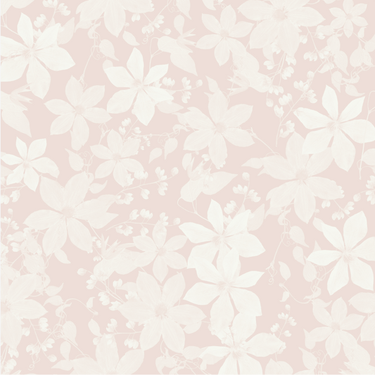 Clematis Sakura Wallpaper