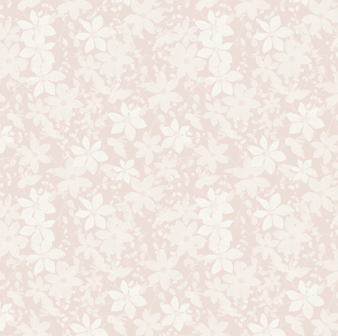 Clematis Sakura Wallpaper