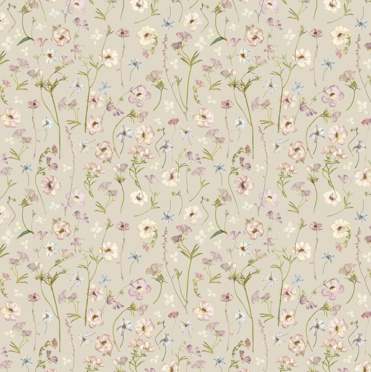 Dancing at Dawn Oyster Wallpaper