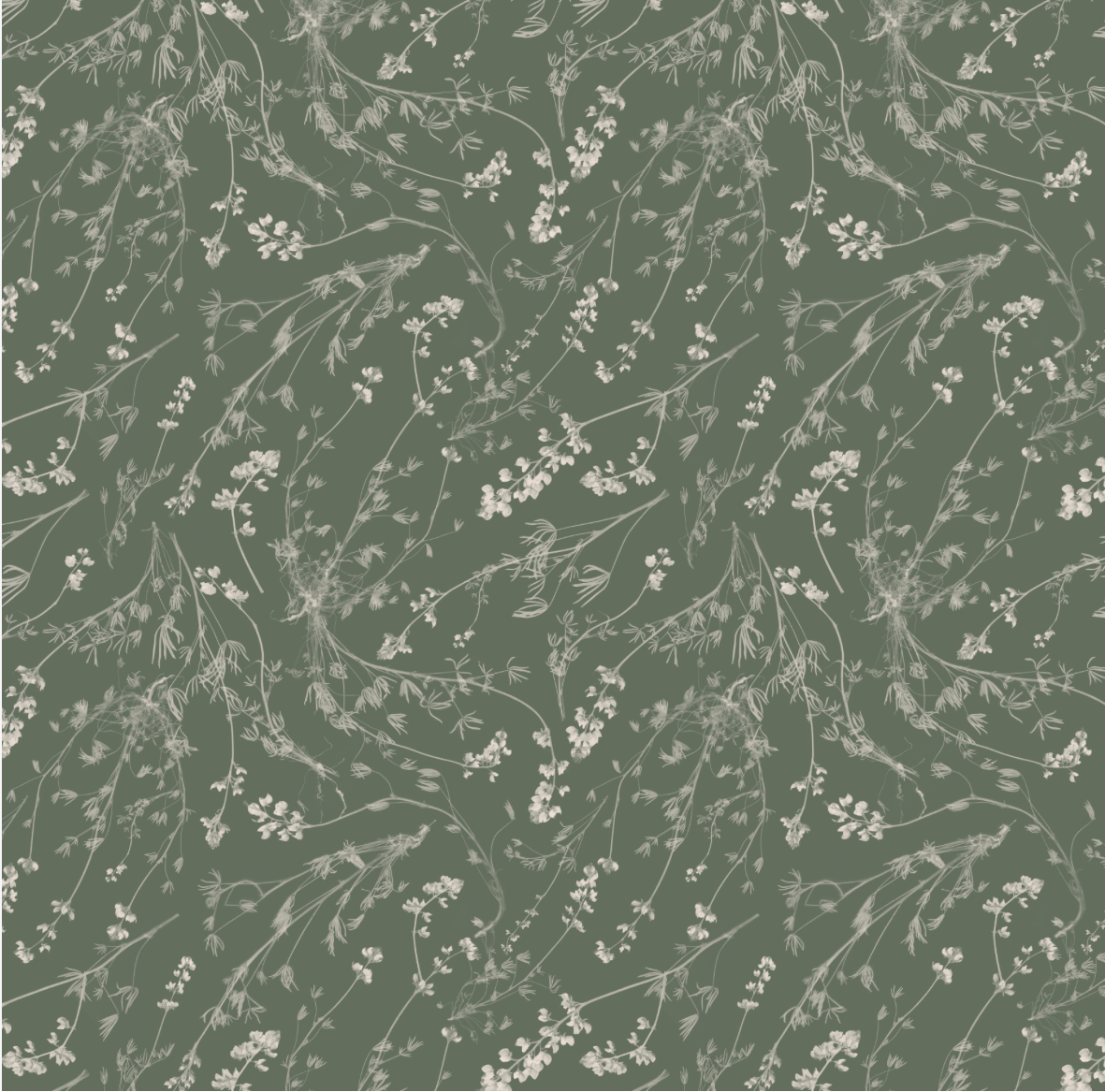 Wild Lupine Thyme Wallpaper