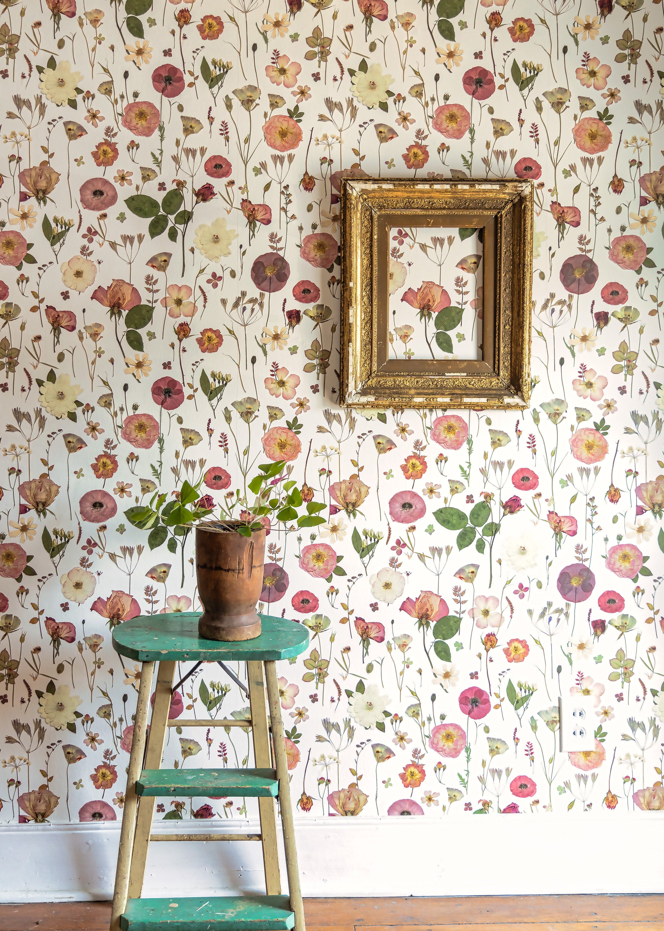 Floral wallpaper with a small wooden ladder and pot against a wall.