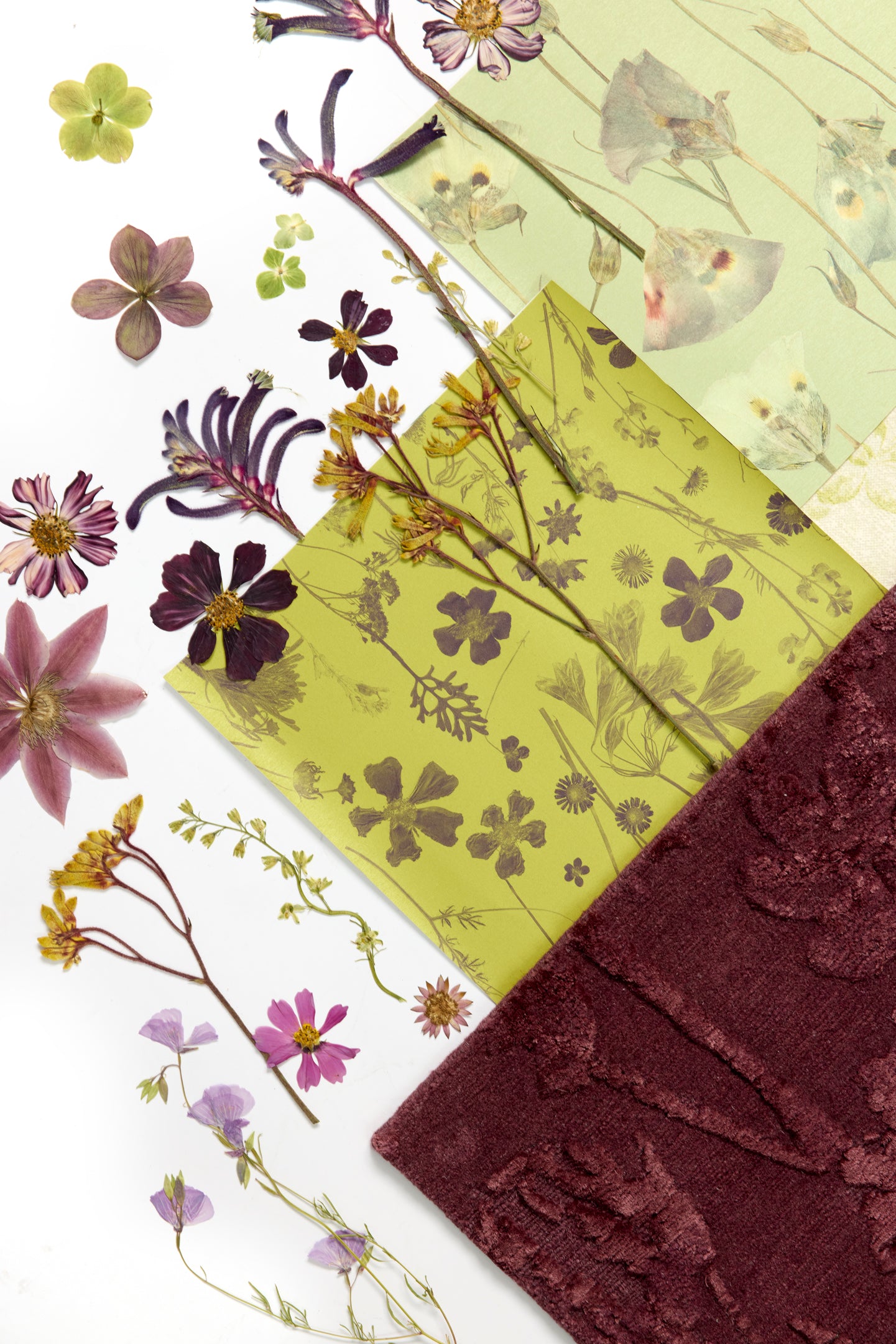 Noirette Acai Rug