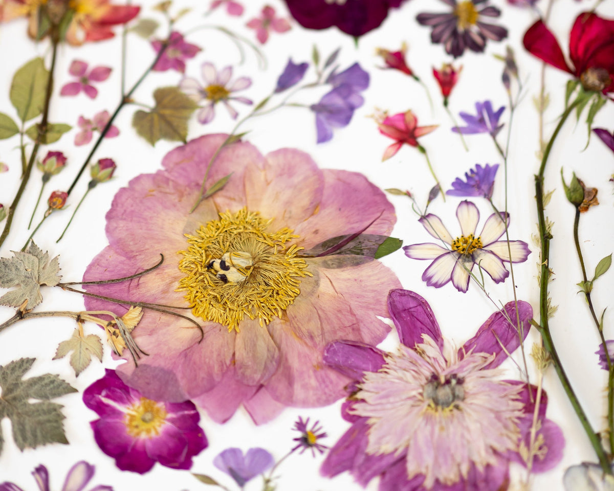 Spring Fever Wall Mural