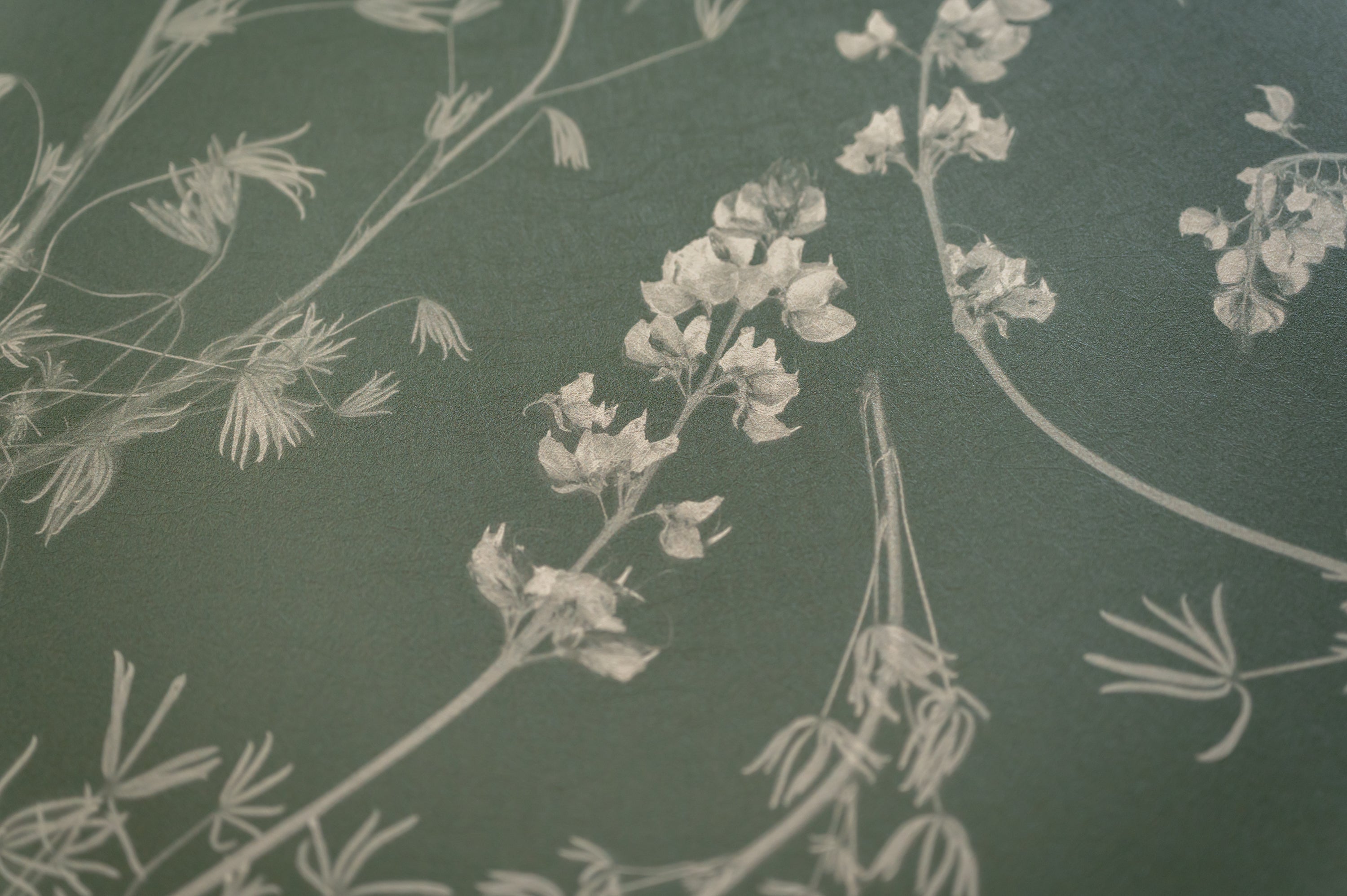 Wild Lupine Thyme Wallpaper