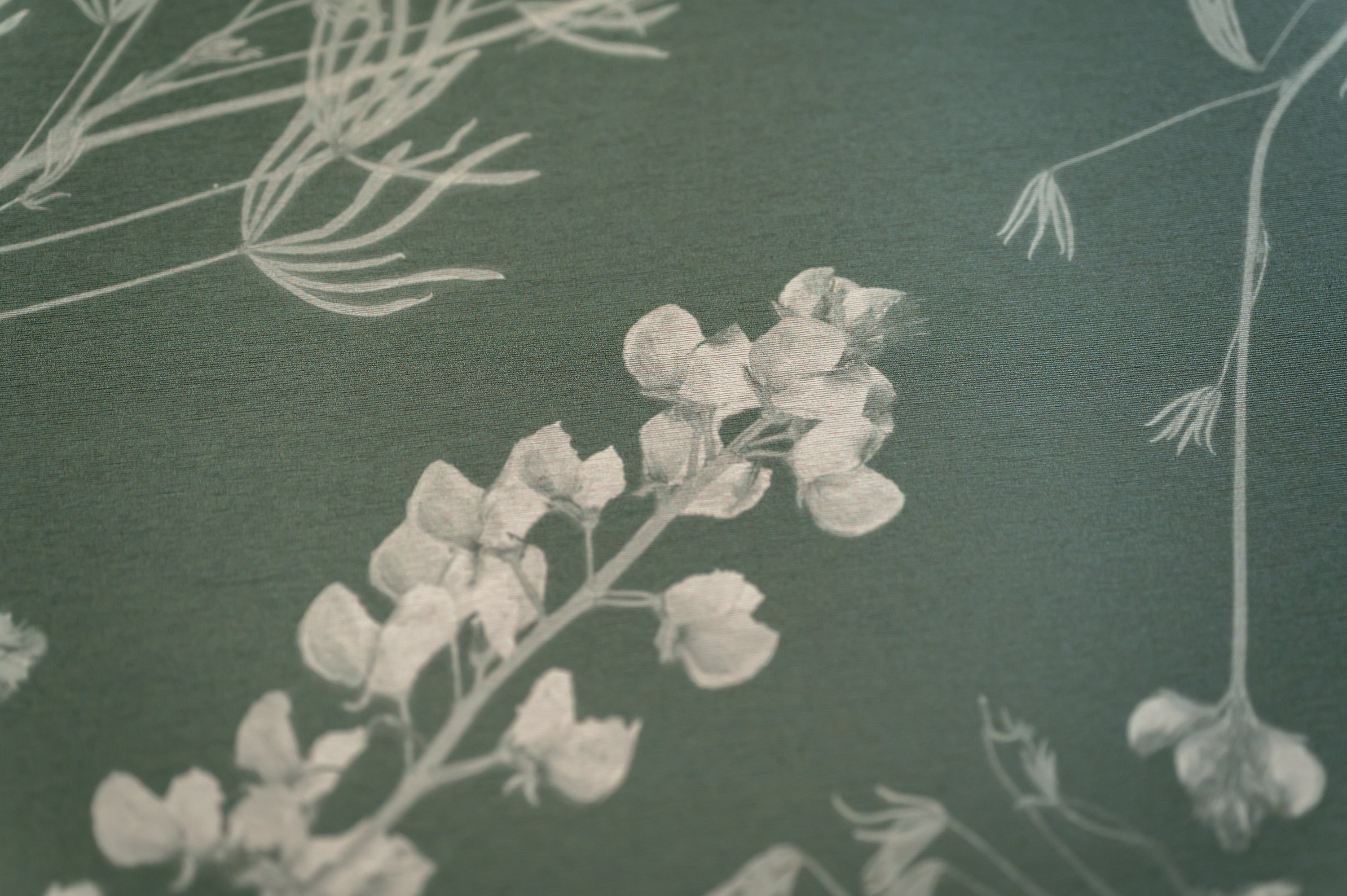 Wild Lupine Thyme Wallpaper