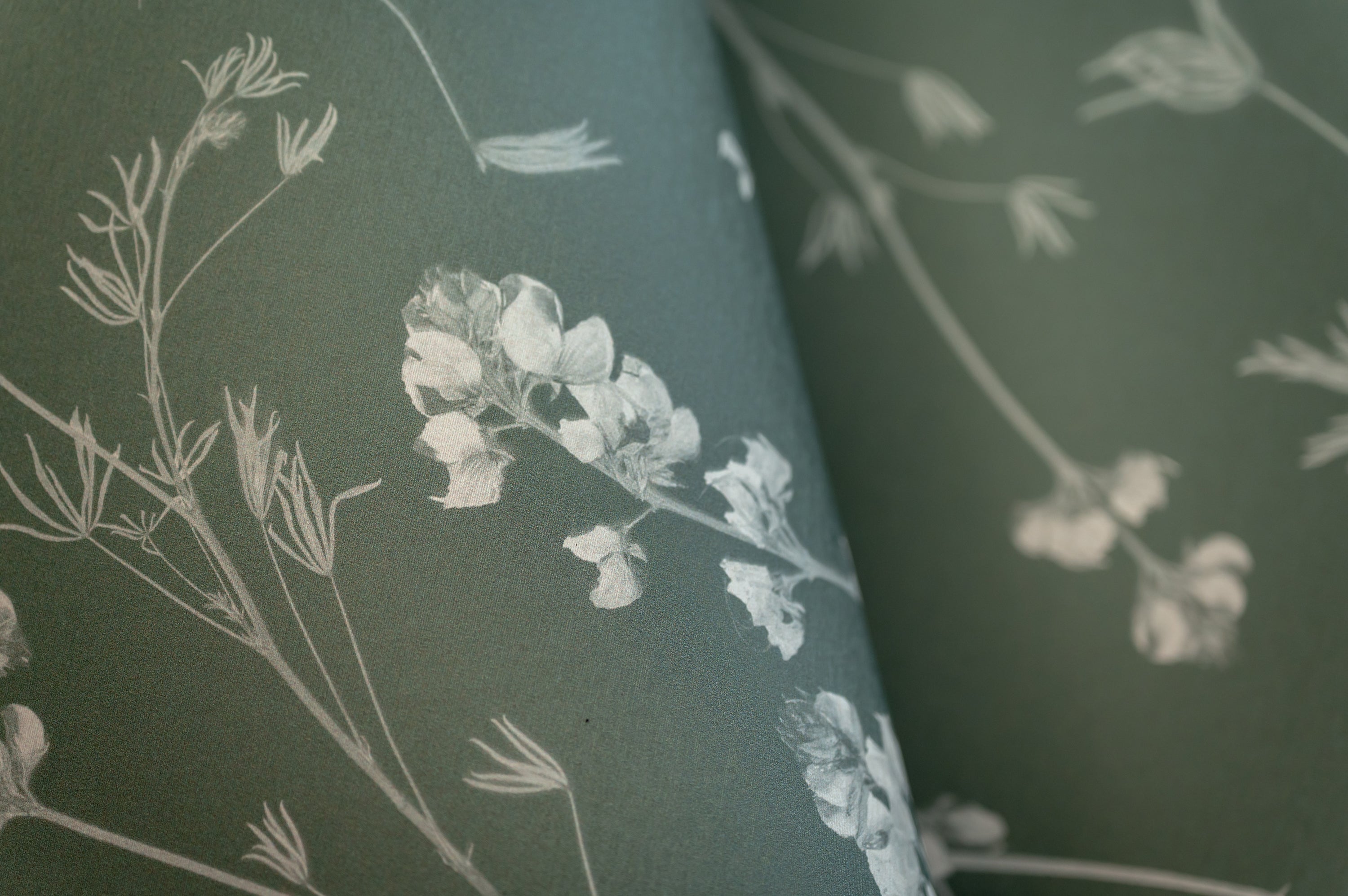 Wild Lupine Thyme Wallpaper