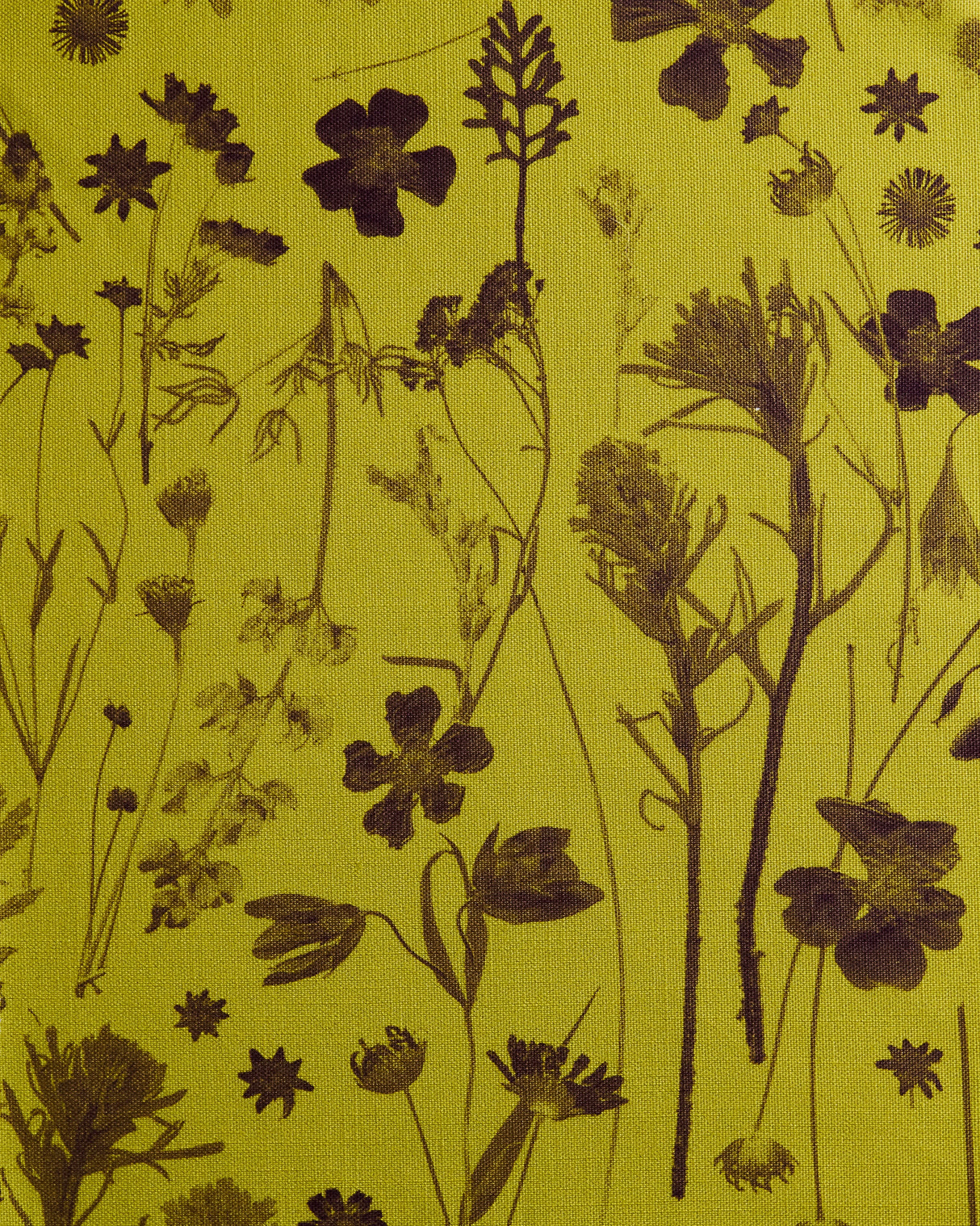 Farm Flowers Chartreuse with Merlot Tonal