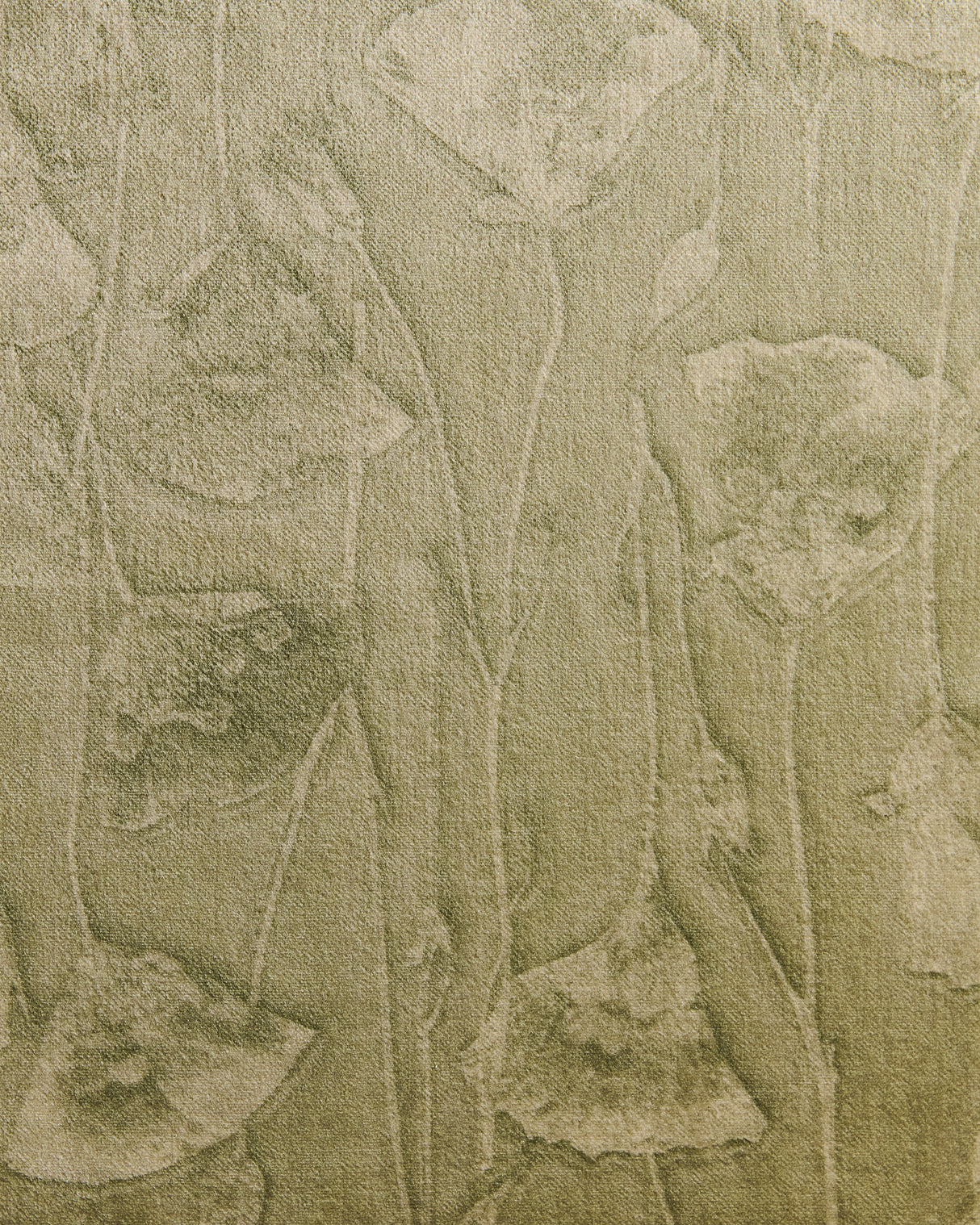 Butterfly Mariposa Lily Sage Tonal