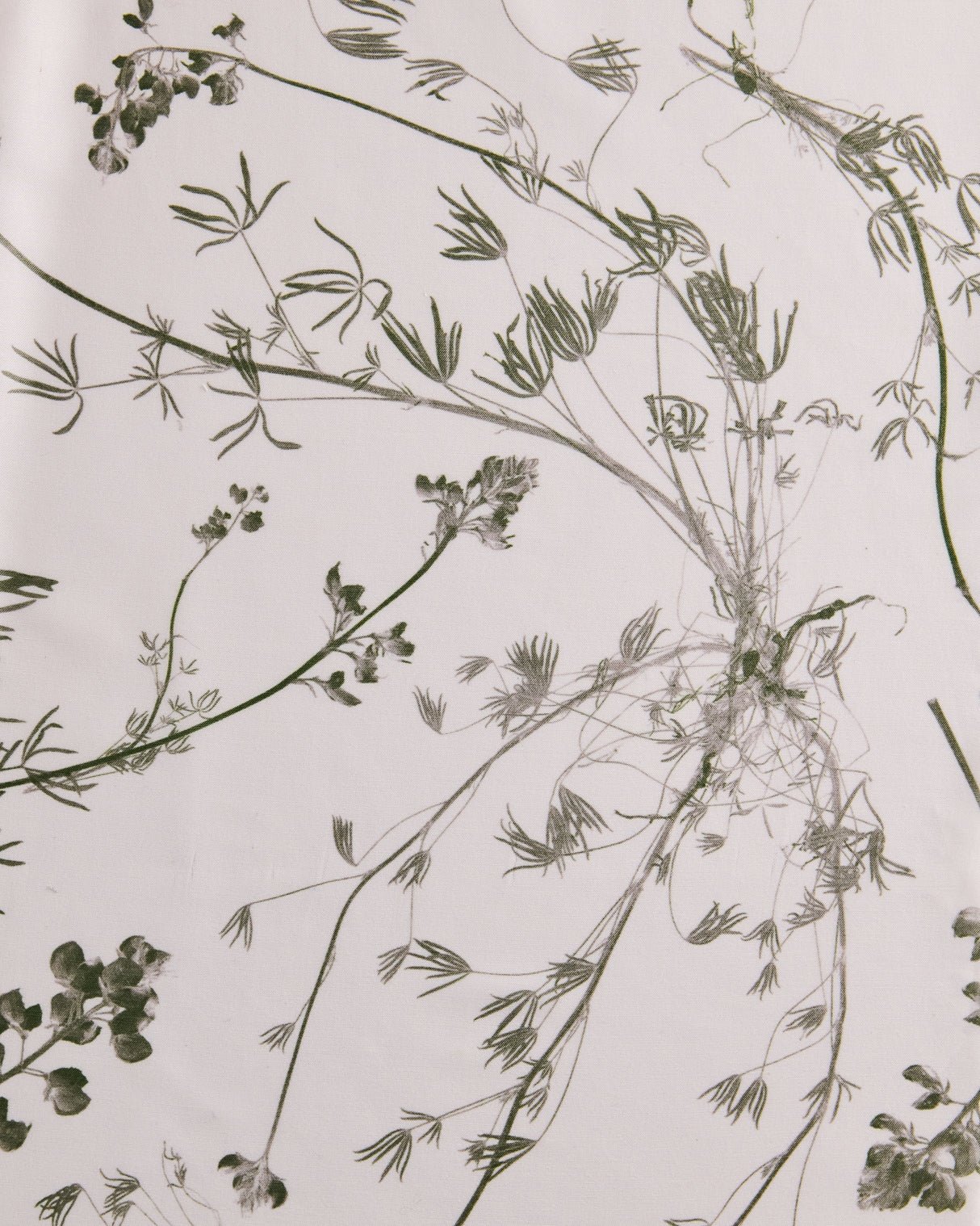 Wild Lupine Verdant Tonal