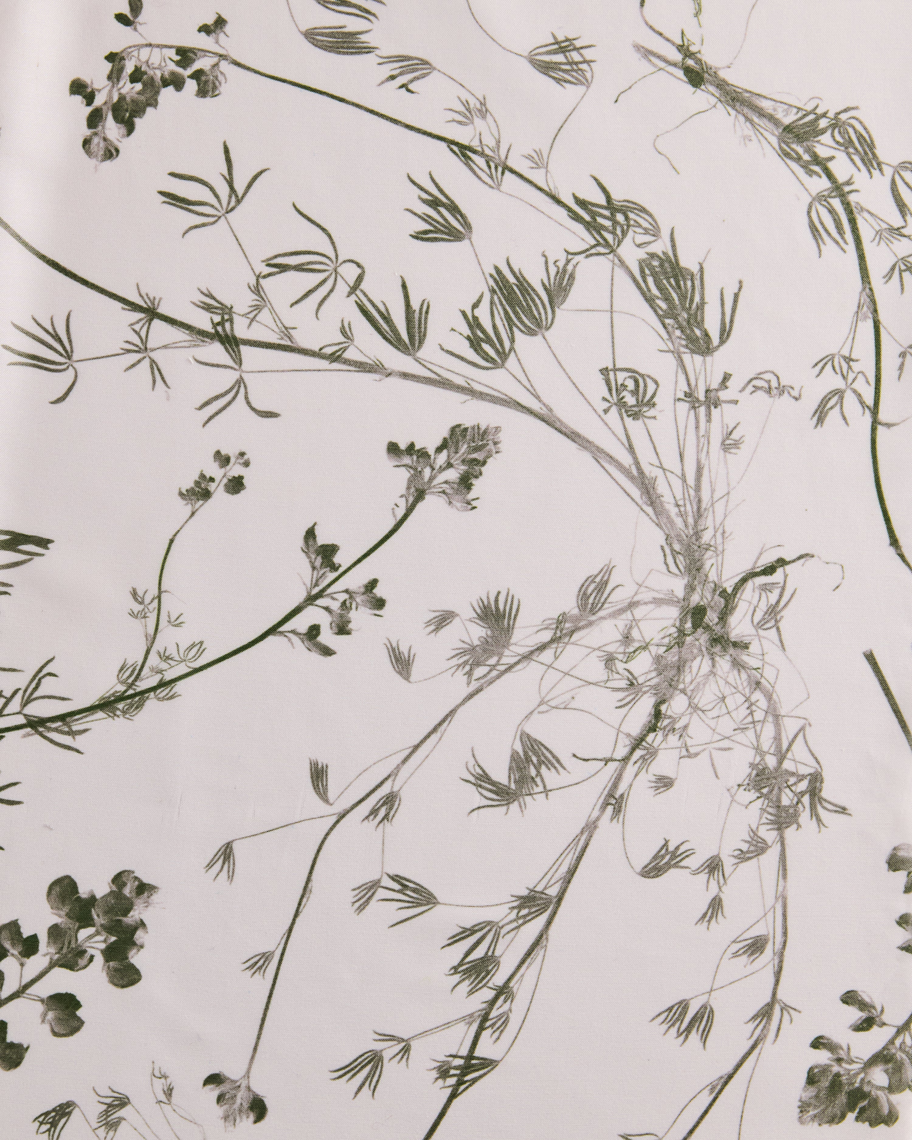 Wild Lupine Juniper Fabric