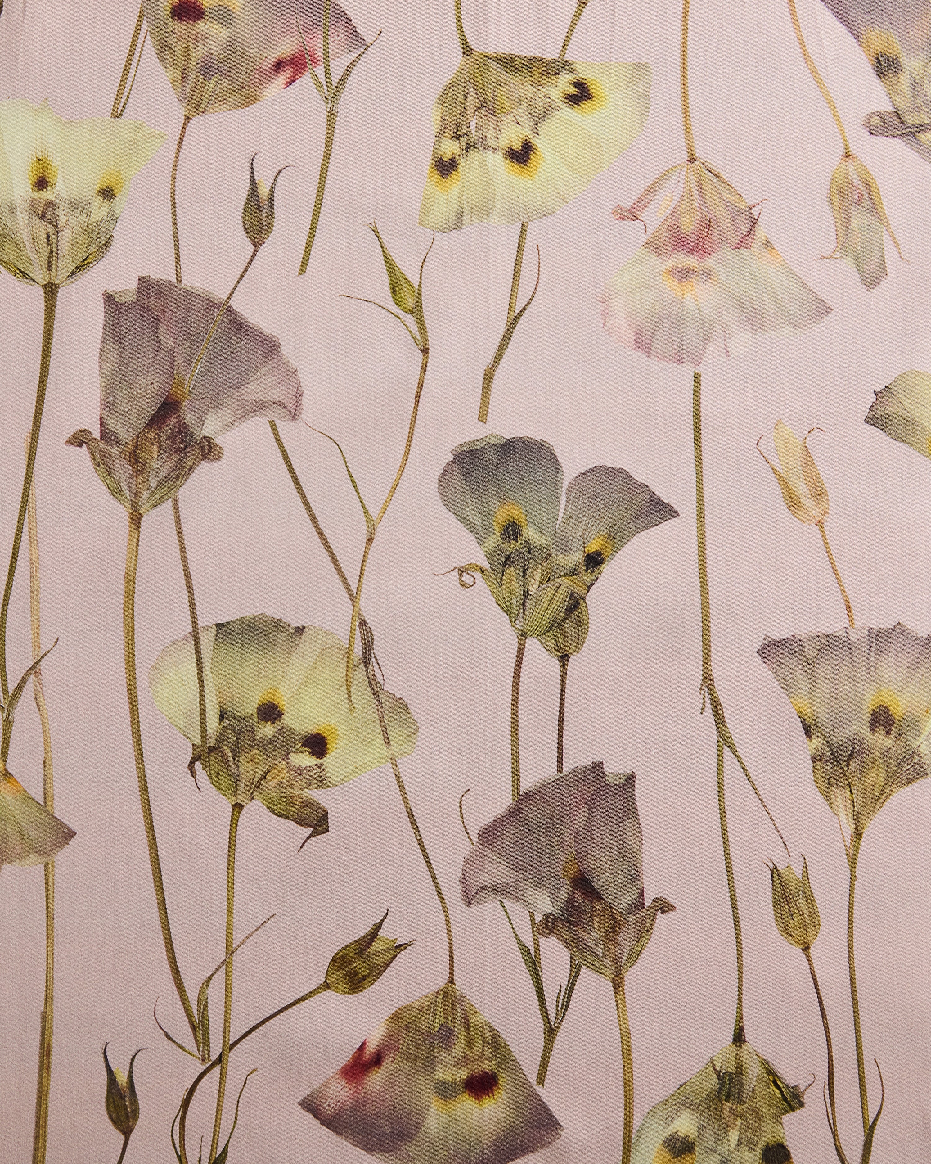Butterfly Mariposa Lily Mallow Fabric