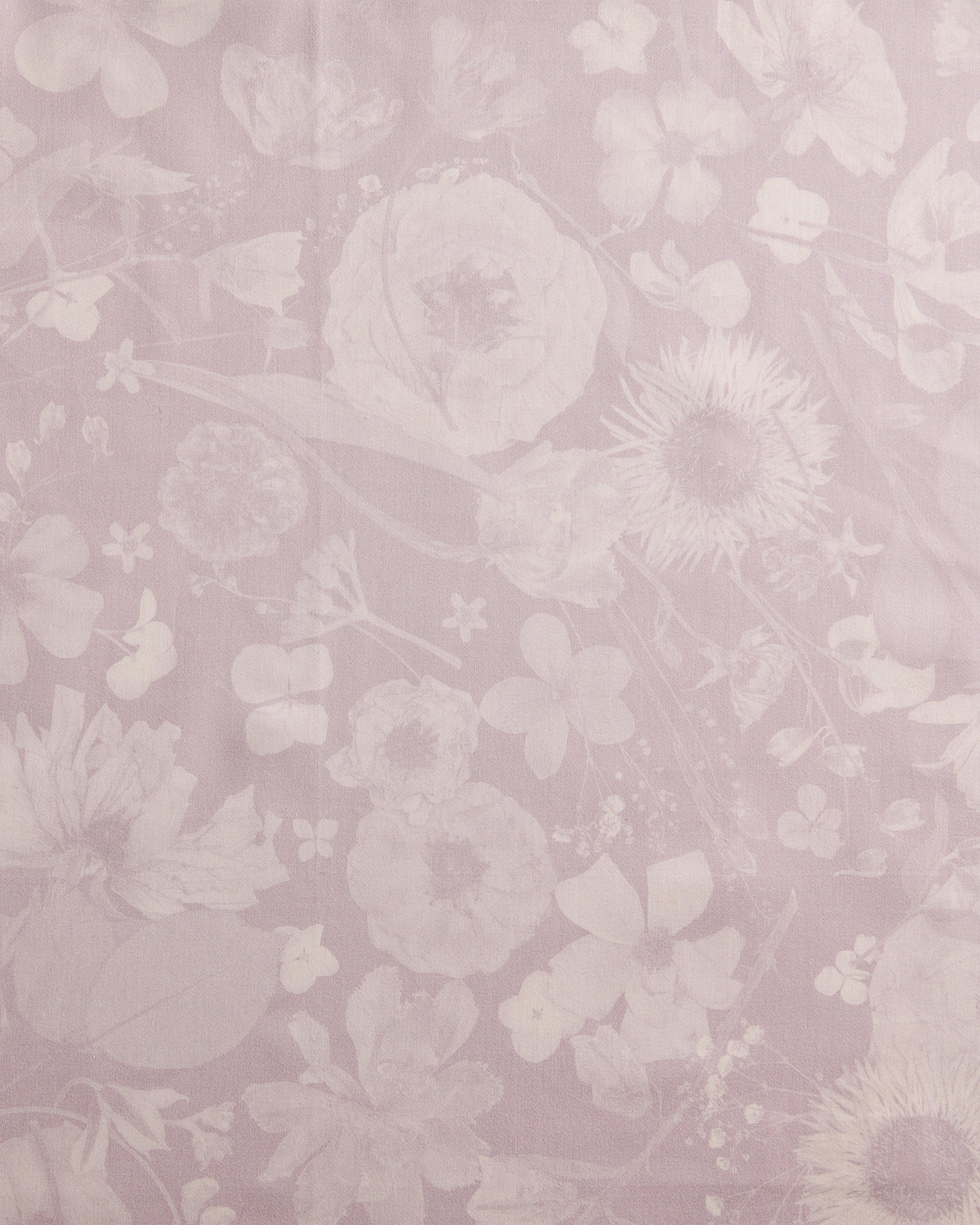 Petals in the Night Mauve Fabric