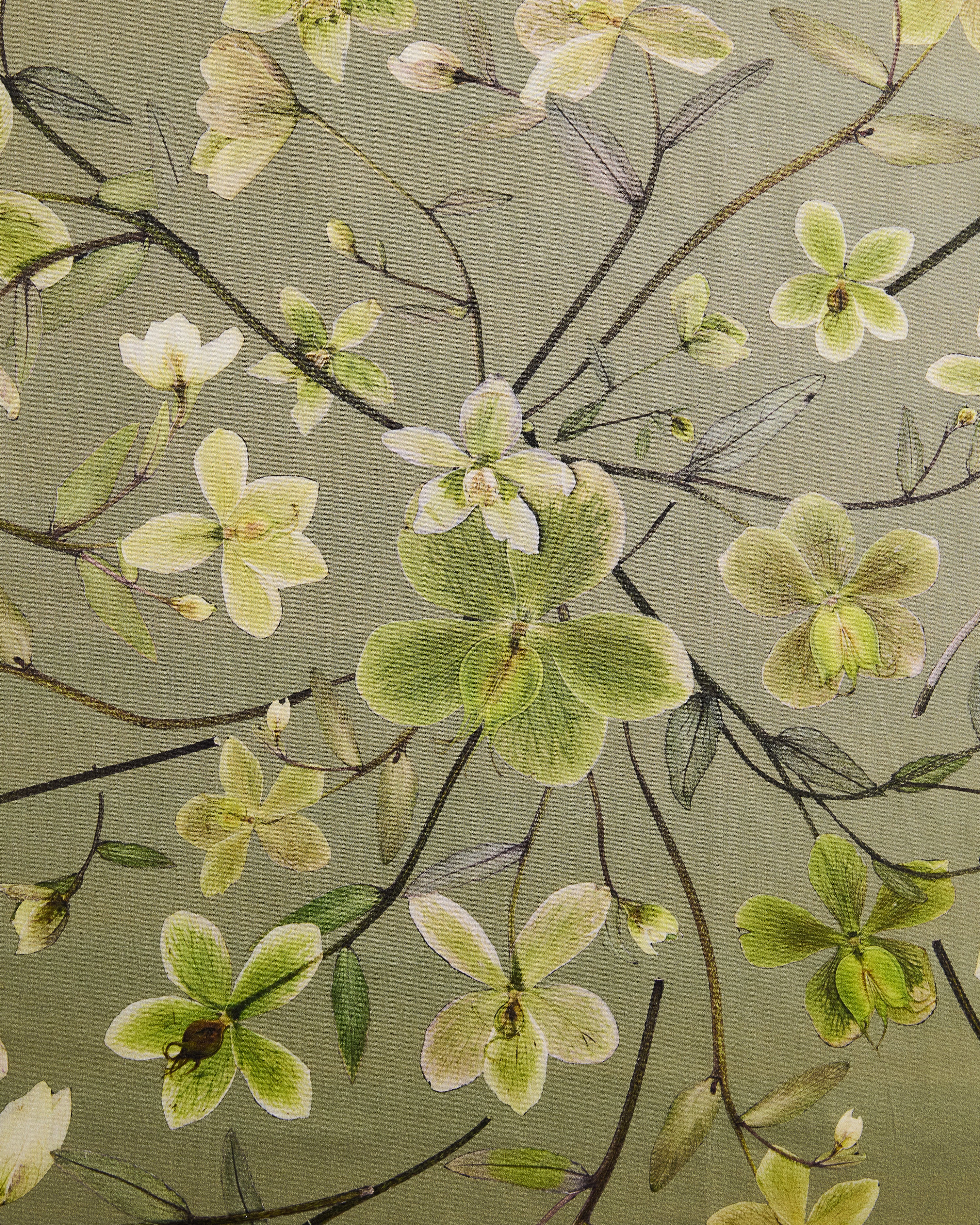 Hellebore Grove Fabric