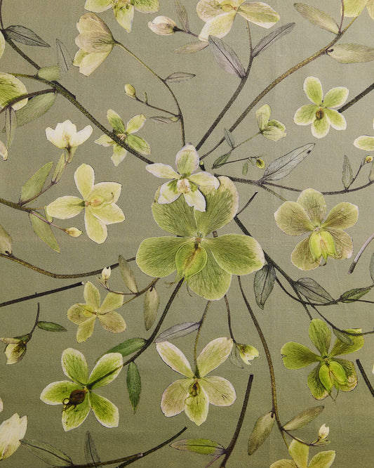 Hellebore Grove Fabric