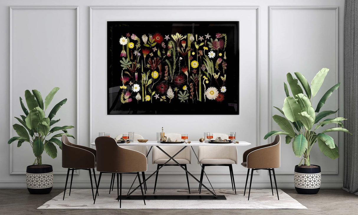 Australian Wildflowers