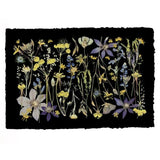 Night Meadow