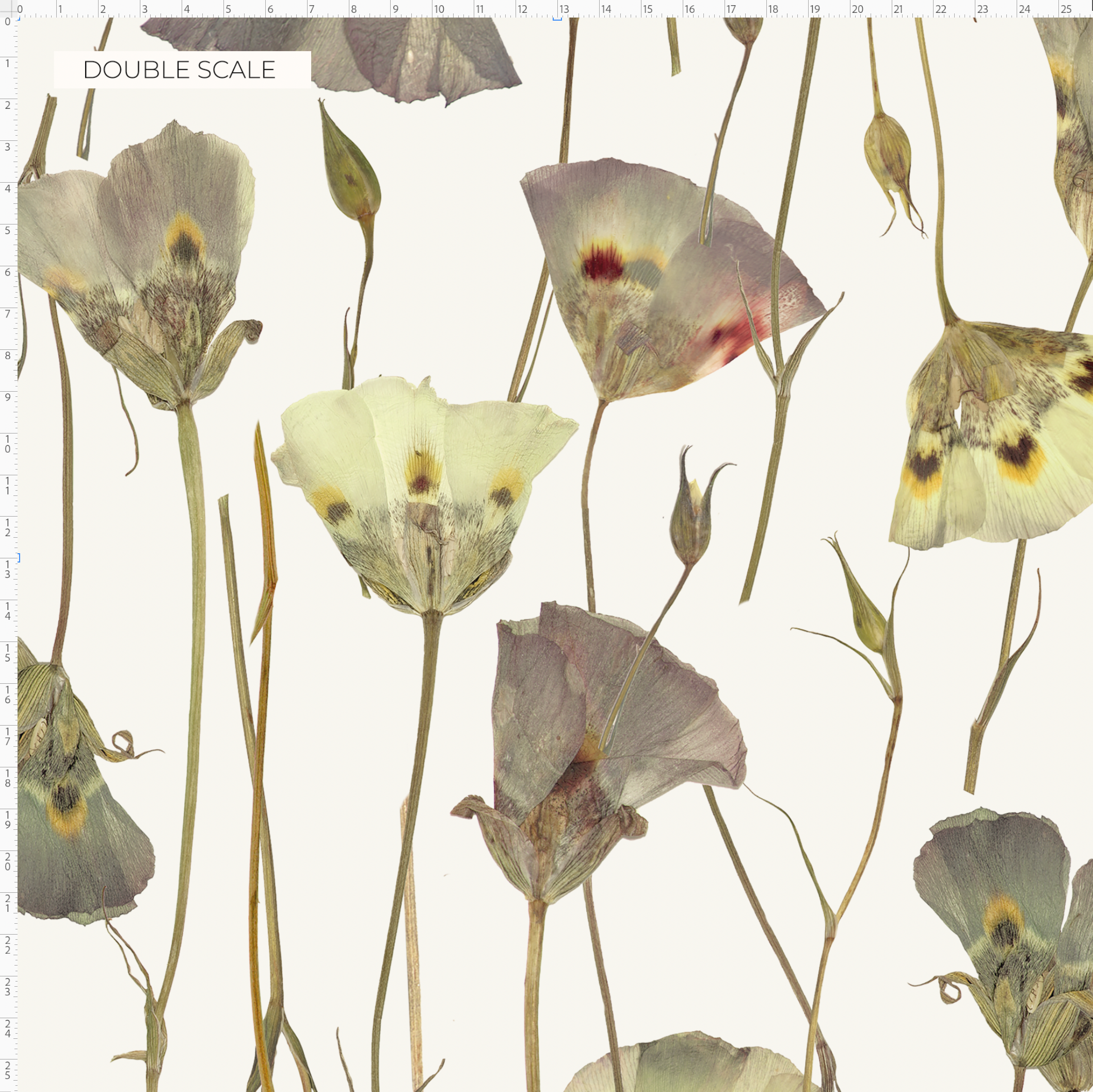Butterfly Mariposa Lily Pure Wallpaper
