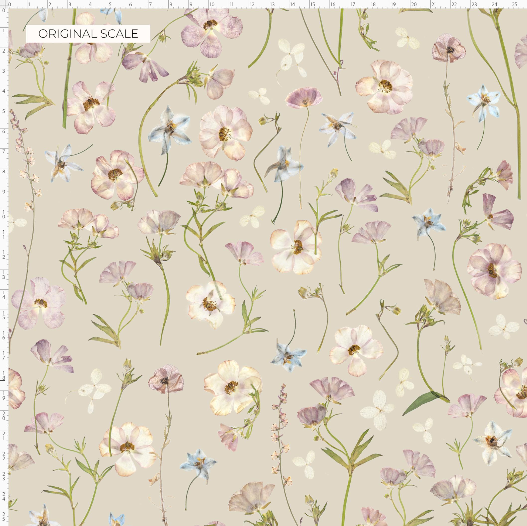 Dancing at Dawn Oyster Wallpaper