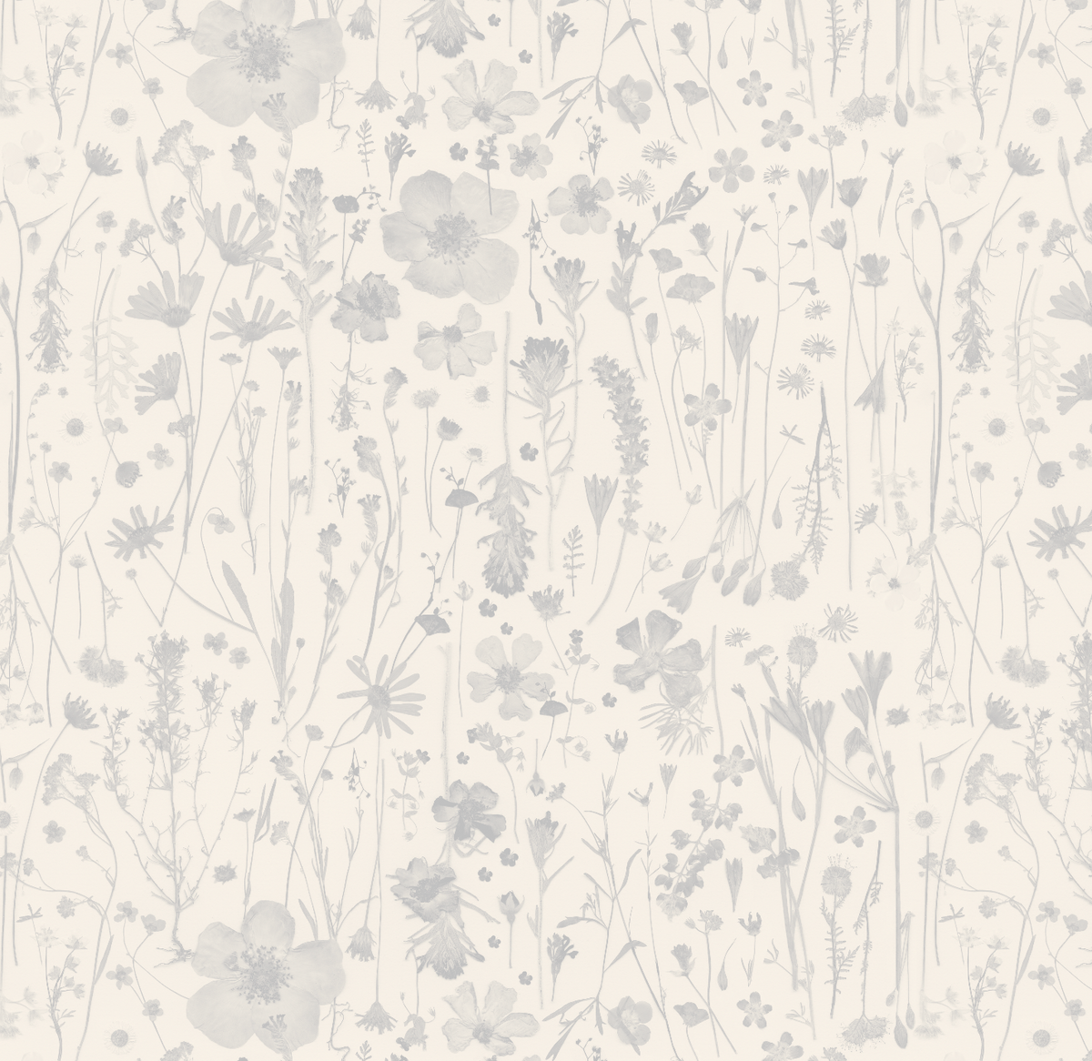 Among the Wildflowers Pearl Wallpaper